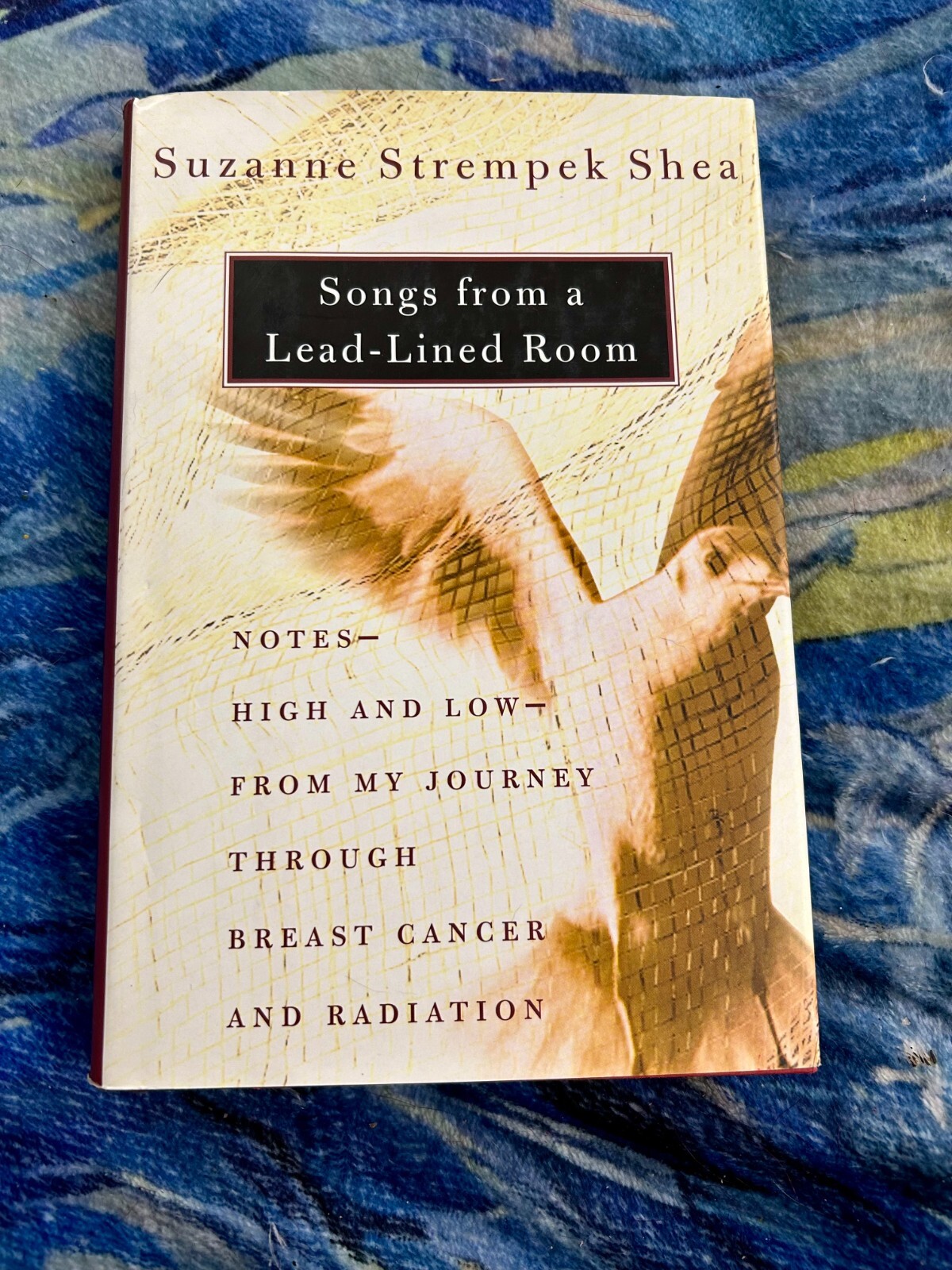 SONGS FROM A LEAD-LINED ROOM SUZANNE SHEA HARDCOVER BRAND NEW ***FREE SHIPPING**