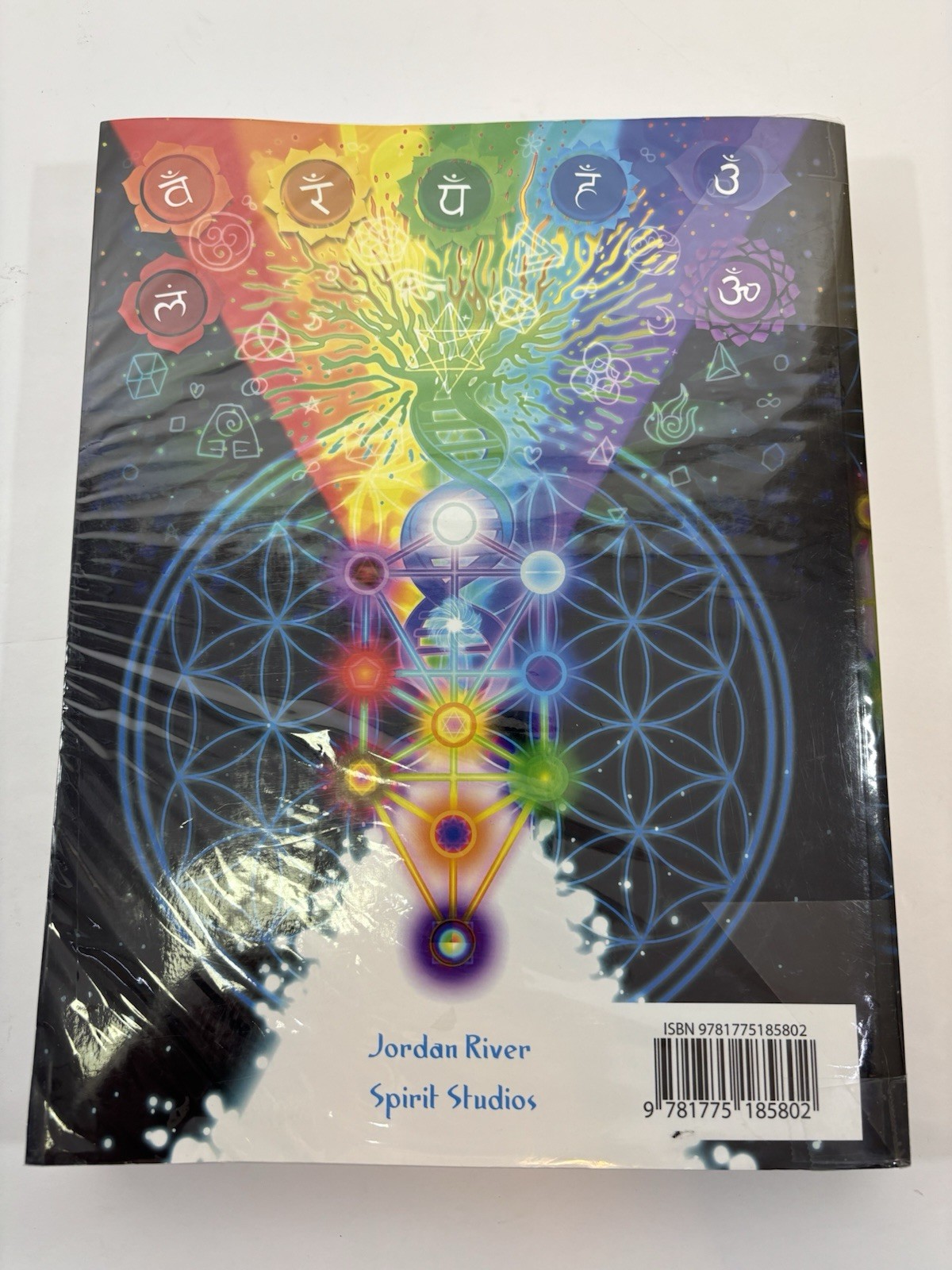 The Book of Patch the Ultimate Guide to Patch Tarot/Softc./2018/by Jordan River