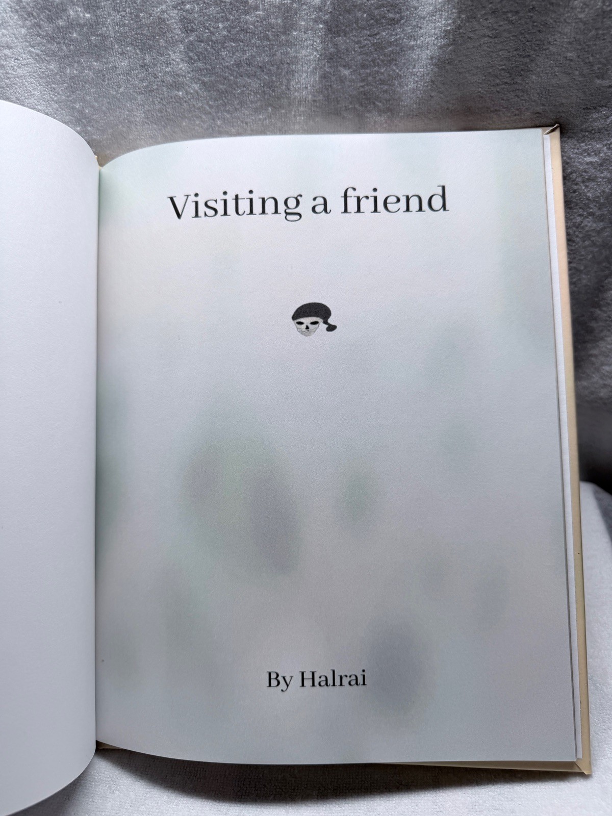 Visiting a Friend Halrai Hardcover 2021 Blurb Book Illustrated Story Used