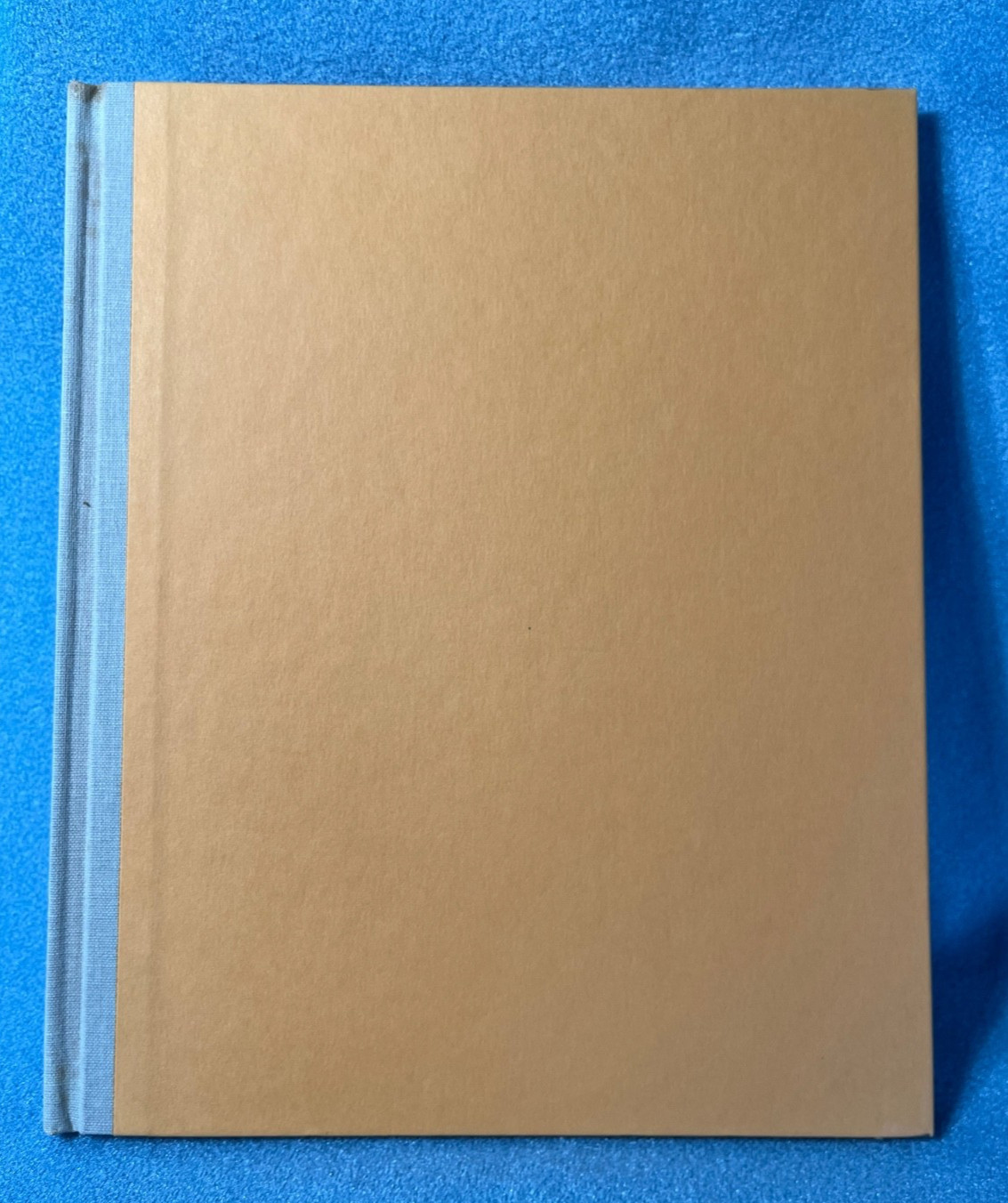 Vtg. 1984 YELLOW & PINK Book by William Steig 1984 HC/DJ – 1st Edition Like New