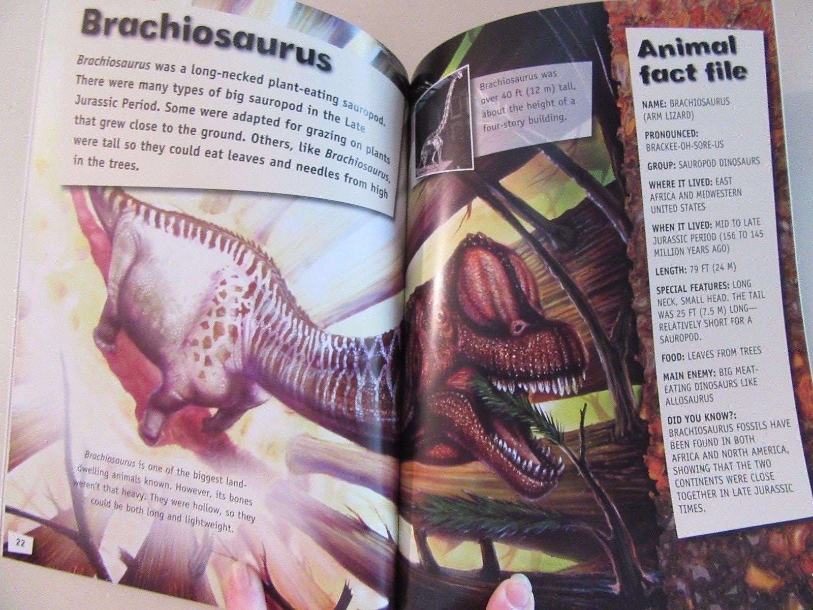 Lot of 3 NEW Awesome Ancient Animals Dinosaurs Reptiles T-Rex Fossils Ages 8-12