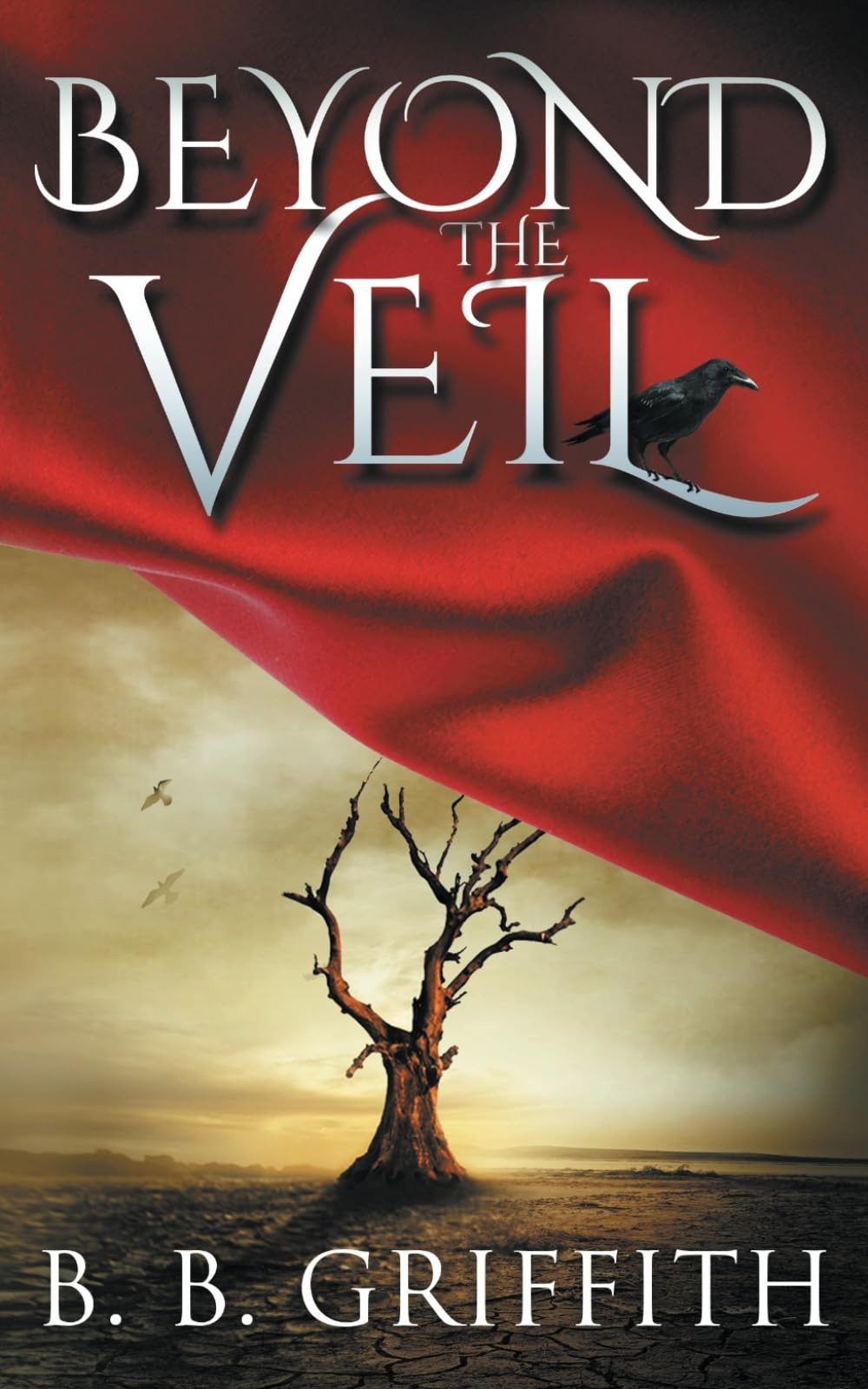 Beyond the Veil (Vanished, #2) (The Vanished Series)