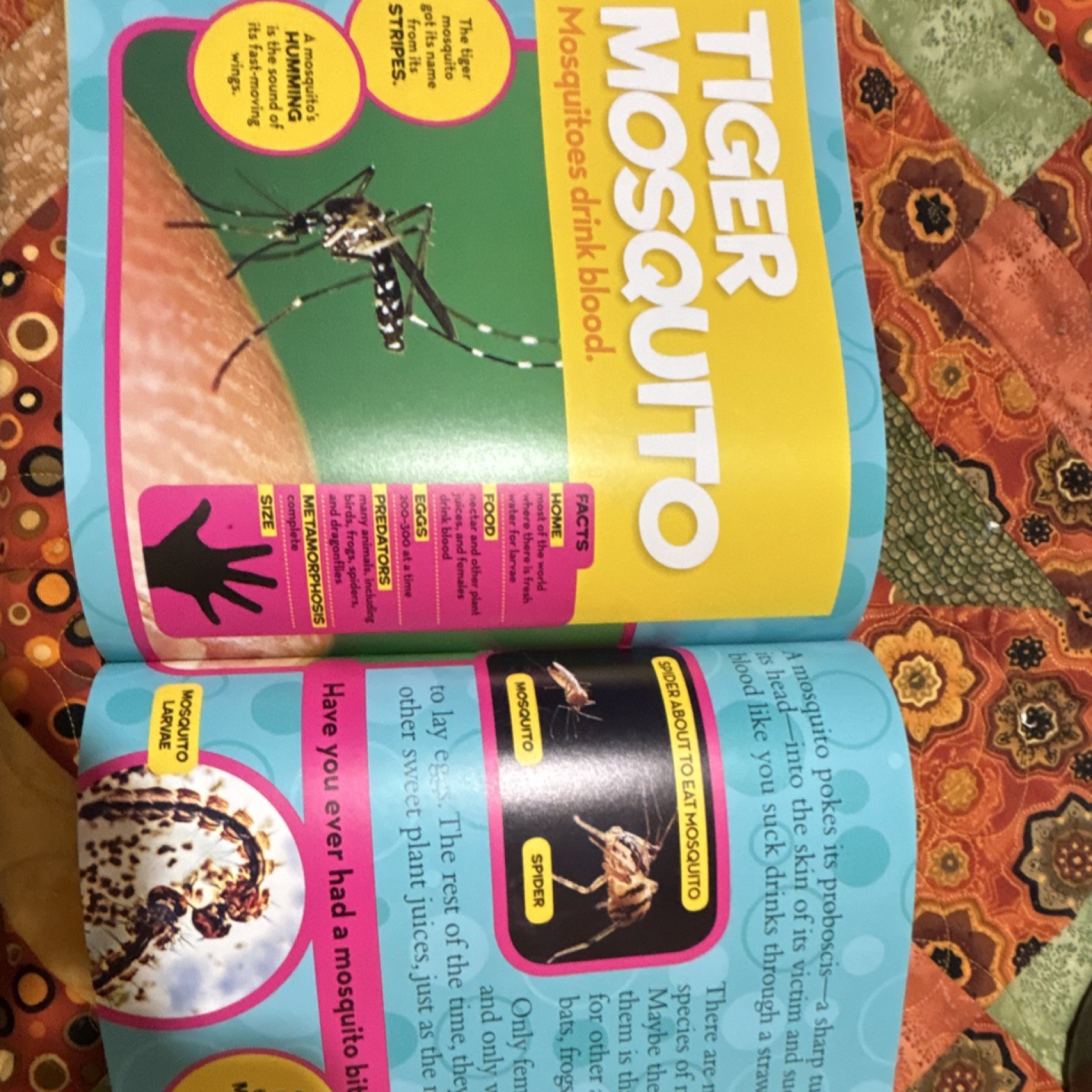 National Geographic Kids Little Kids First Big Book of Bugs Hardcover Catherine…