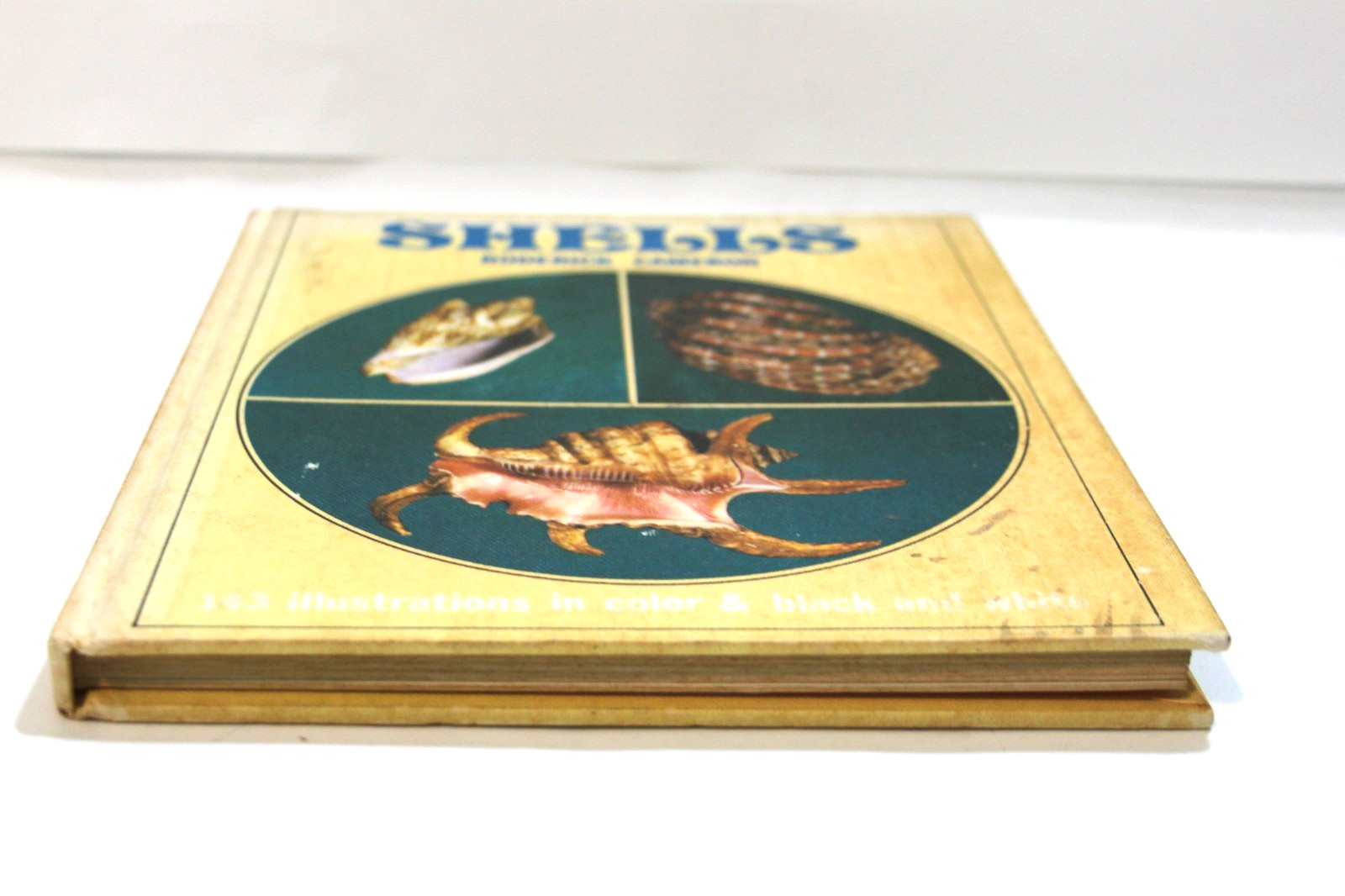 Vintage Shells Roderick Cameron 1972 Octopus HC Illustrated Sea Shell Ref Book