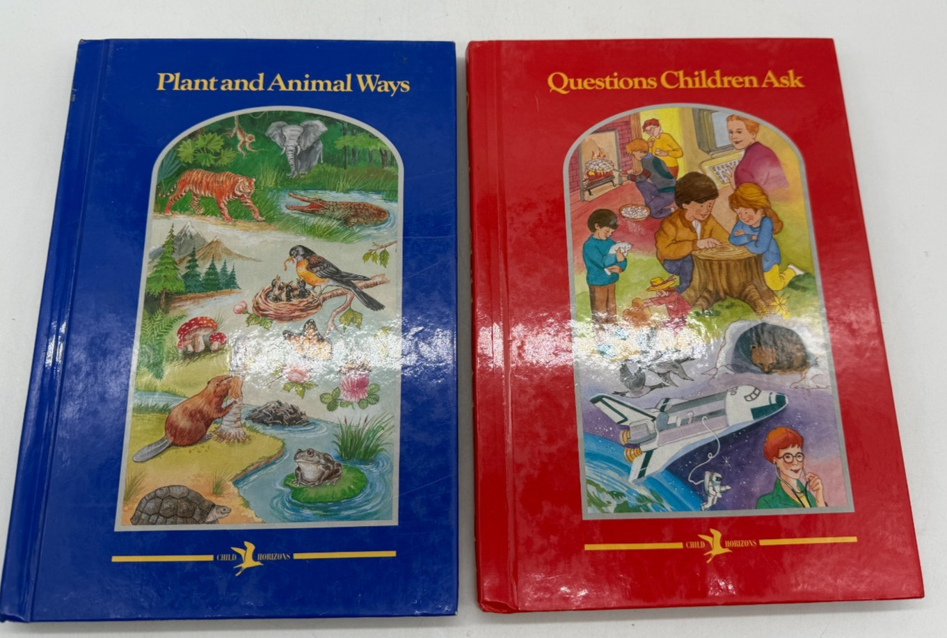 6 Child Horizons Books for Homeschool Base Literature in acceptable cond