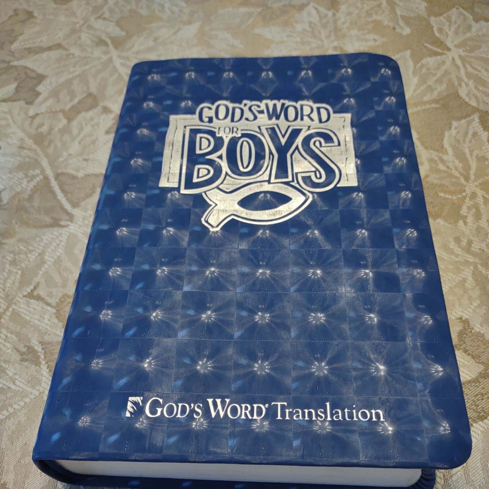 GODS WORD for Boys Blue Prism Duravella VERY GOOD 2008 “3D Cover”