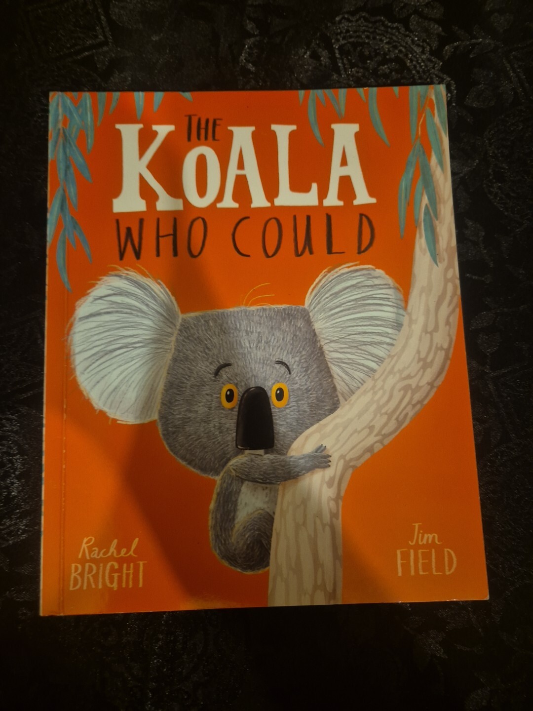 THE KOALA WHO COULD BOOK BY RACHEL BRIGHT 17CM X 21CM (PICTURE BOOK) 2020