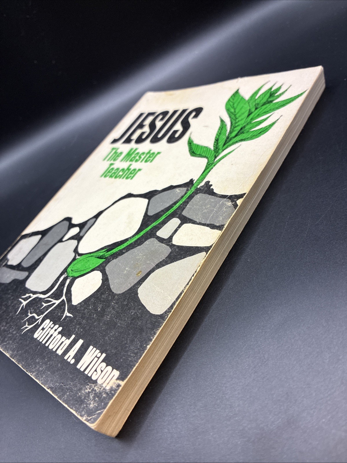 Jesus – The Master Teacher Clifford A. Wilson 1975 Paperback