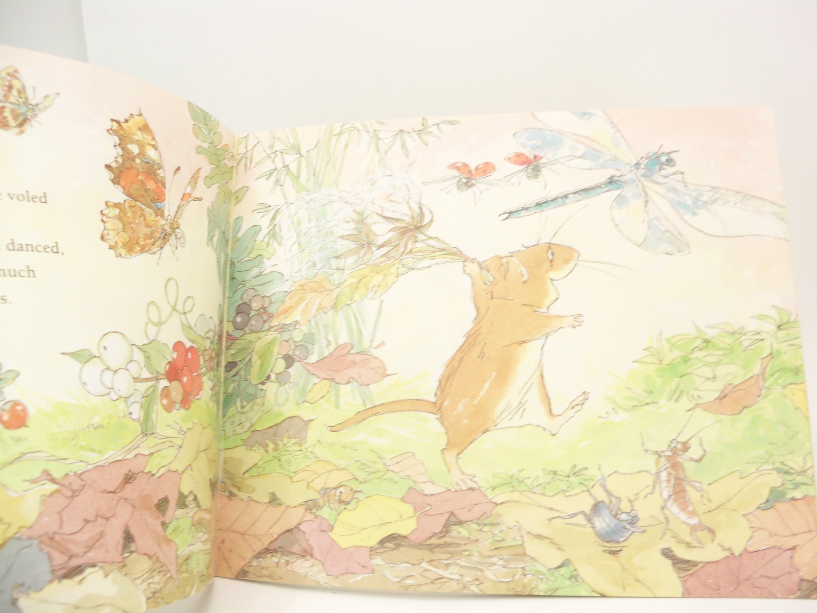 Sam Vole and his Brothers by Martin Waddell illustrated Barbara Firth Signed PB