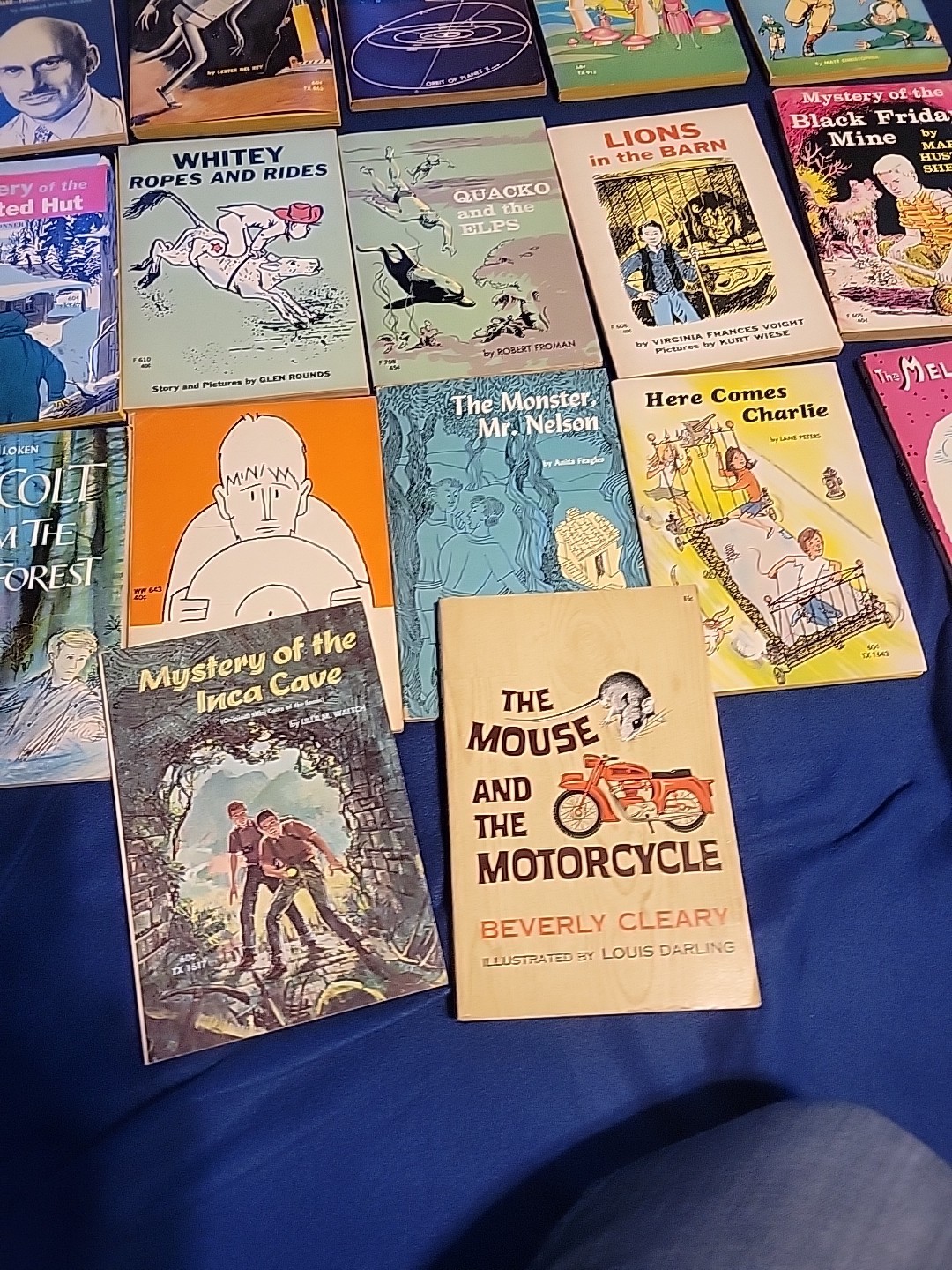 Vintage Young Readers Press ,scholastic And Others Pb Books