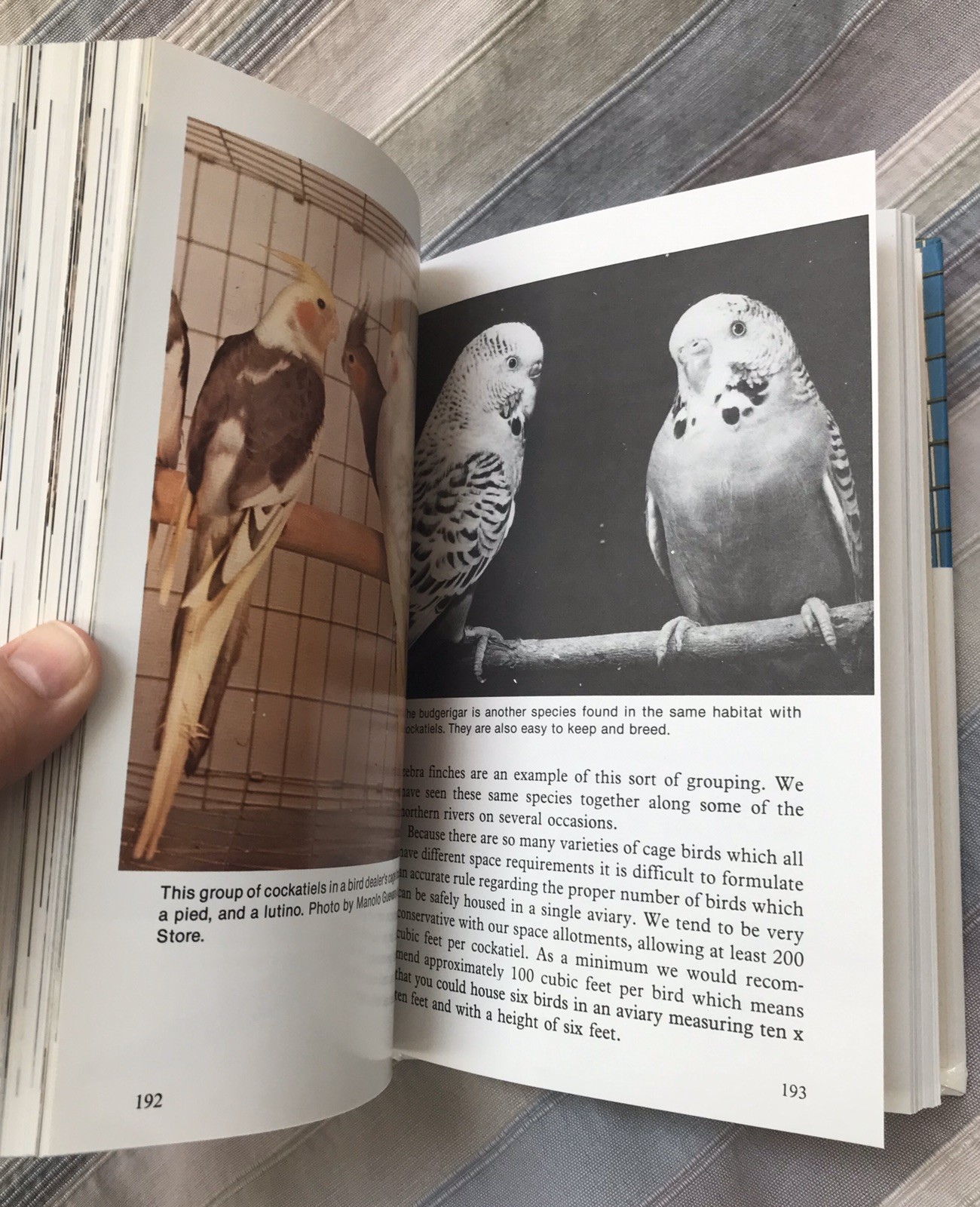 Cockatiel Handbook by Dr. Gerald R. Allen and Connie Allen 1981 HC Like New