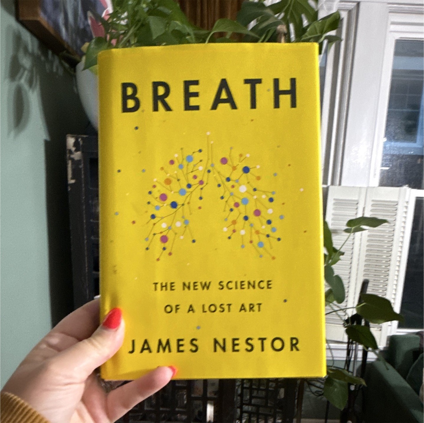 James Nestor Breath The New Science of a Lost Art Hardcover English Dust Jacket