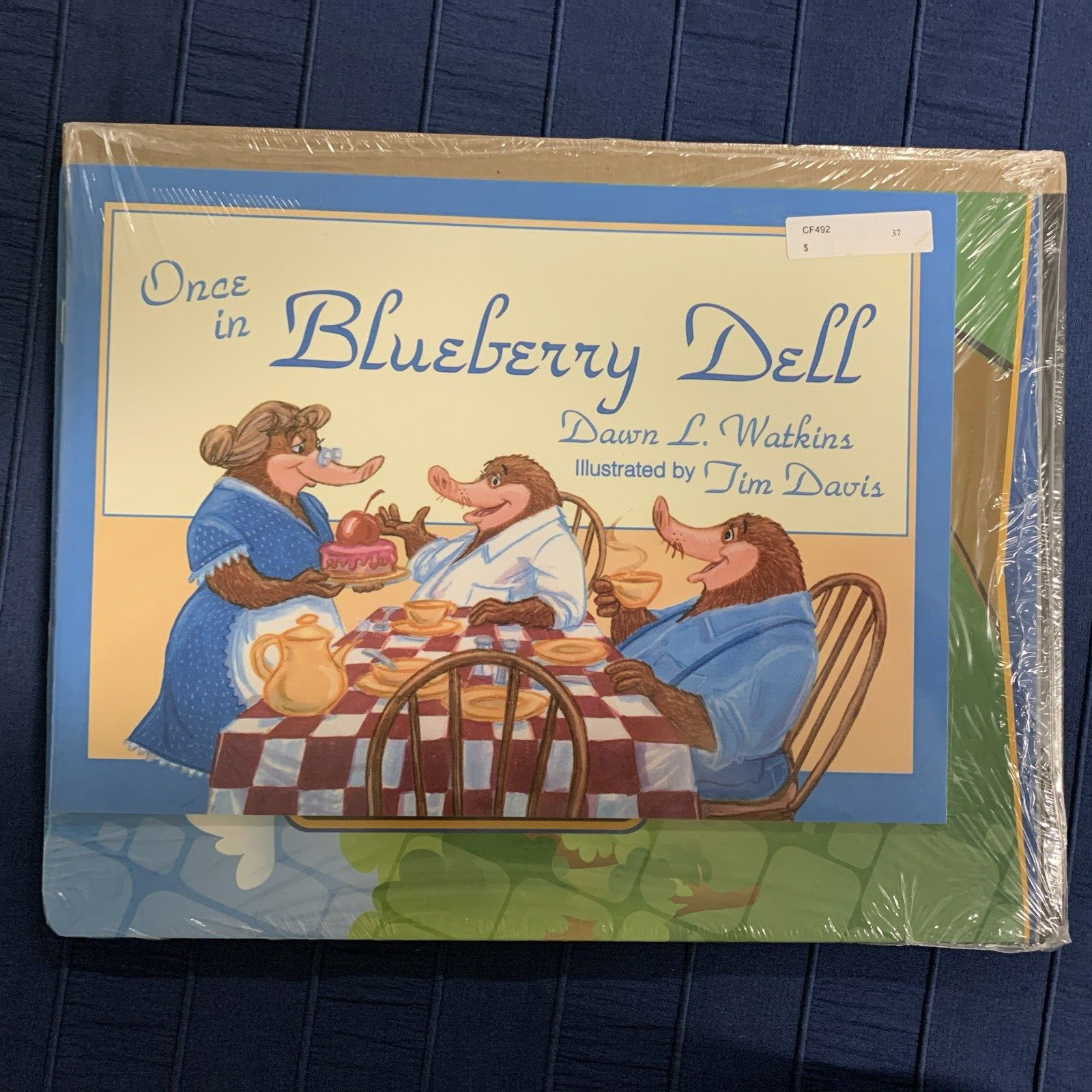 Once in Blueberry Dell – BookLinks Set BJU Press, by Dawn Watkins, Picture Book