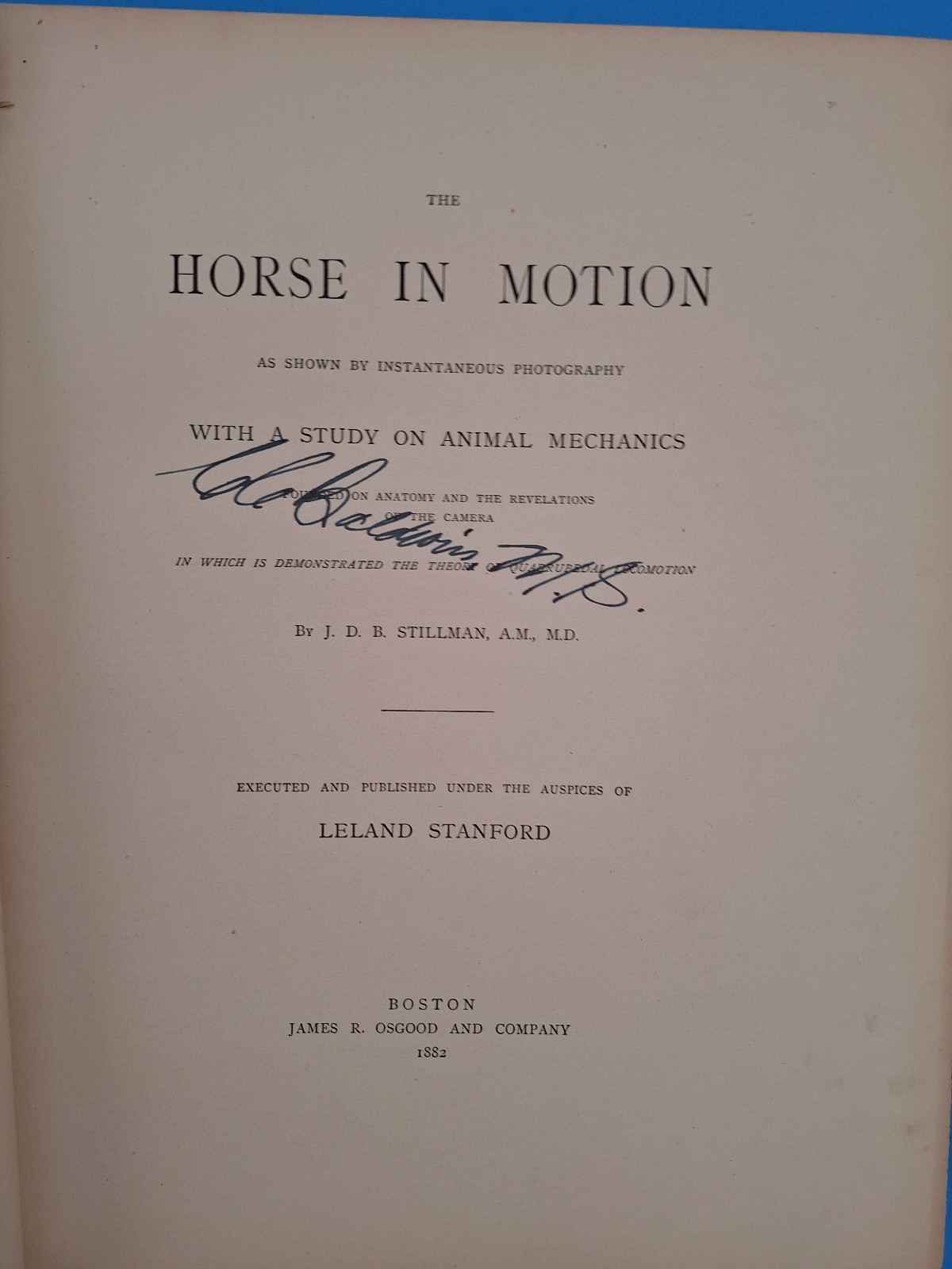 RARE c 1882 THE HORSE IN MOTION by J.D.B. Stillman Photos By Eadweard Muybridge