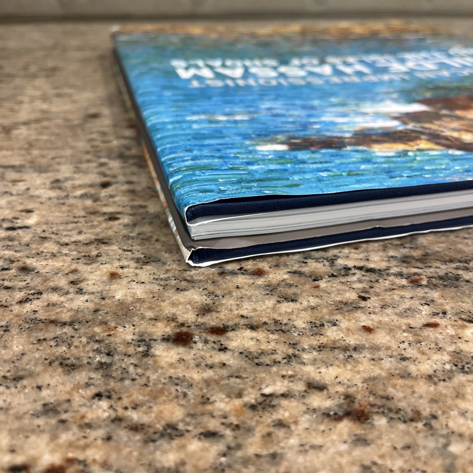 American Impressionist Childe Hassam and the Isles of Shoals, 2016