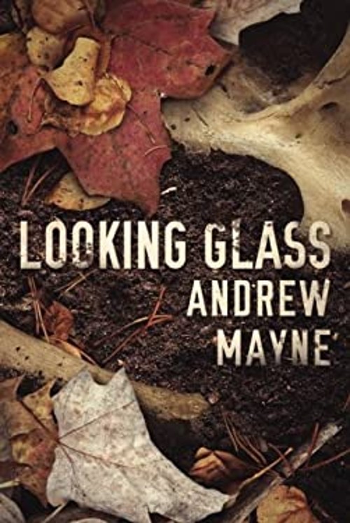 Looking Glass Paperback Andrew Mayne
