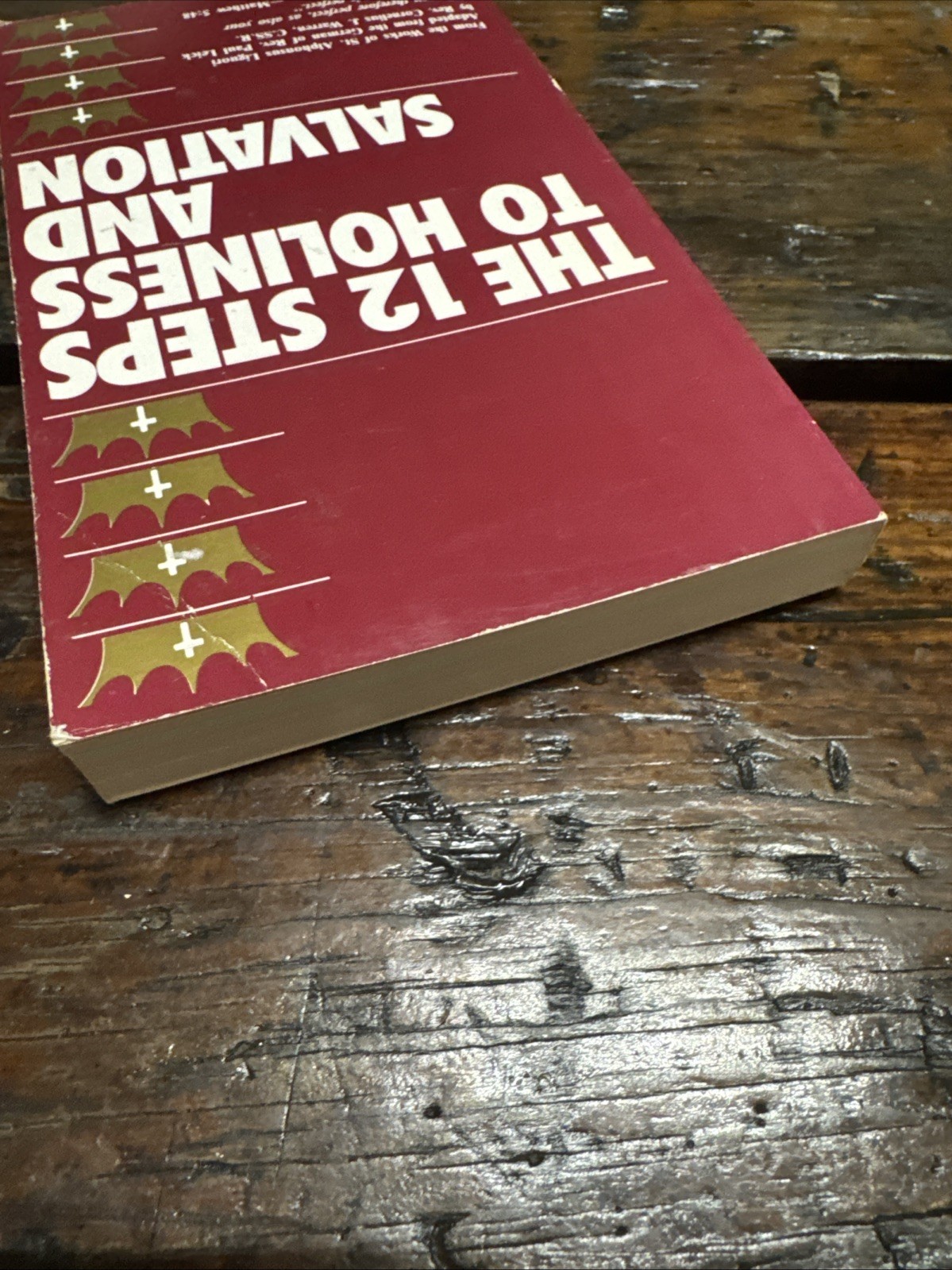Twelve Steps to Holiness and Salvation by St. Alphonsus de Liguori (1993, Trade