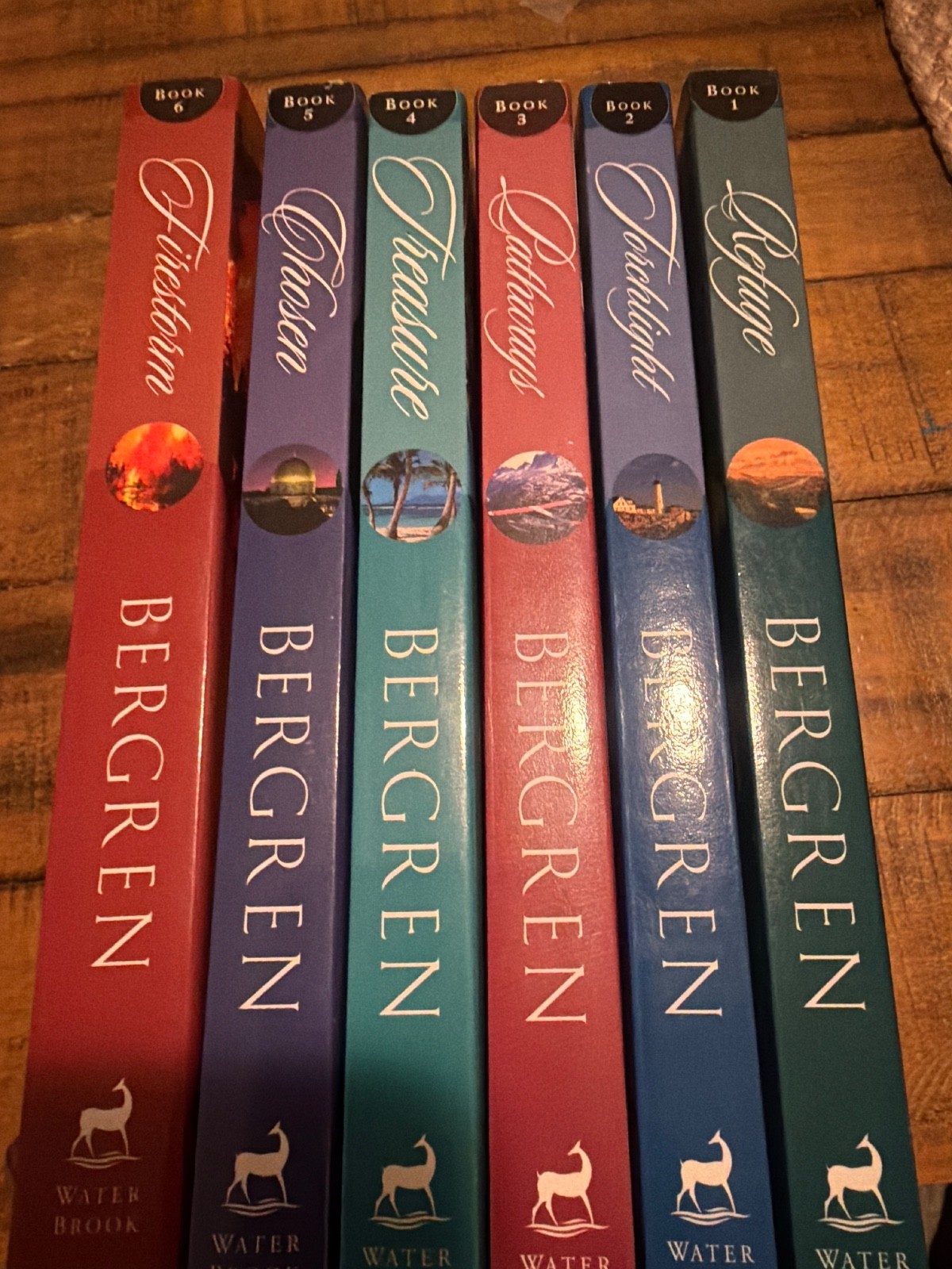 six books by Lisa Tawn Bergren
