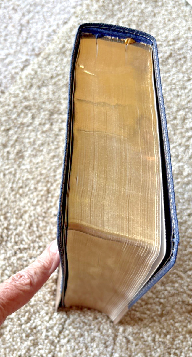 NIV Study Bible Fully Revised Edition Leather Soft Zondervan Blue/Tan