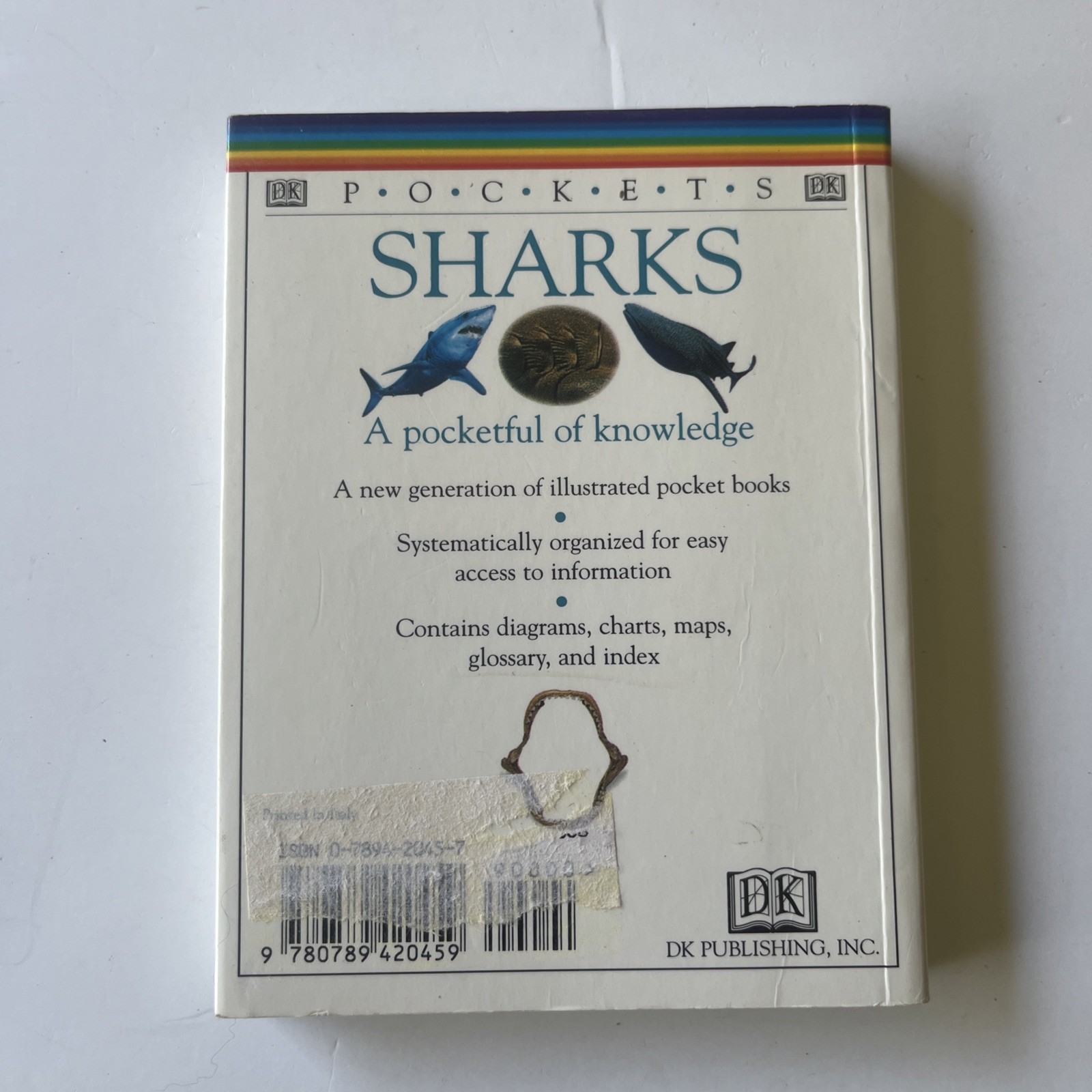 SHARKS DK Pockets Book📕Sharks by DK publishing Pockets Full Of Knowledge