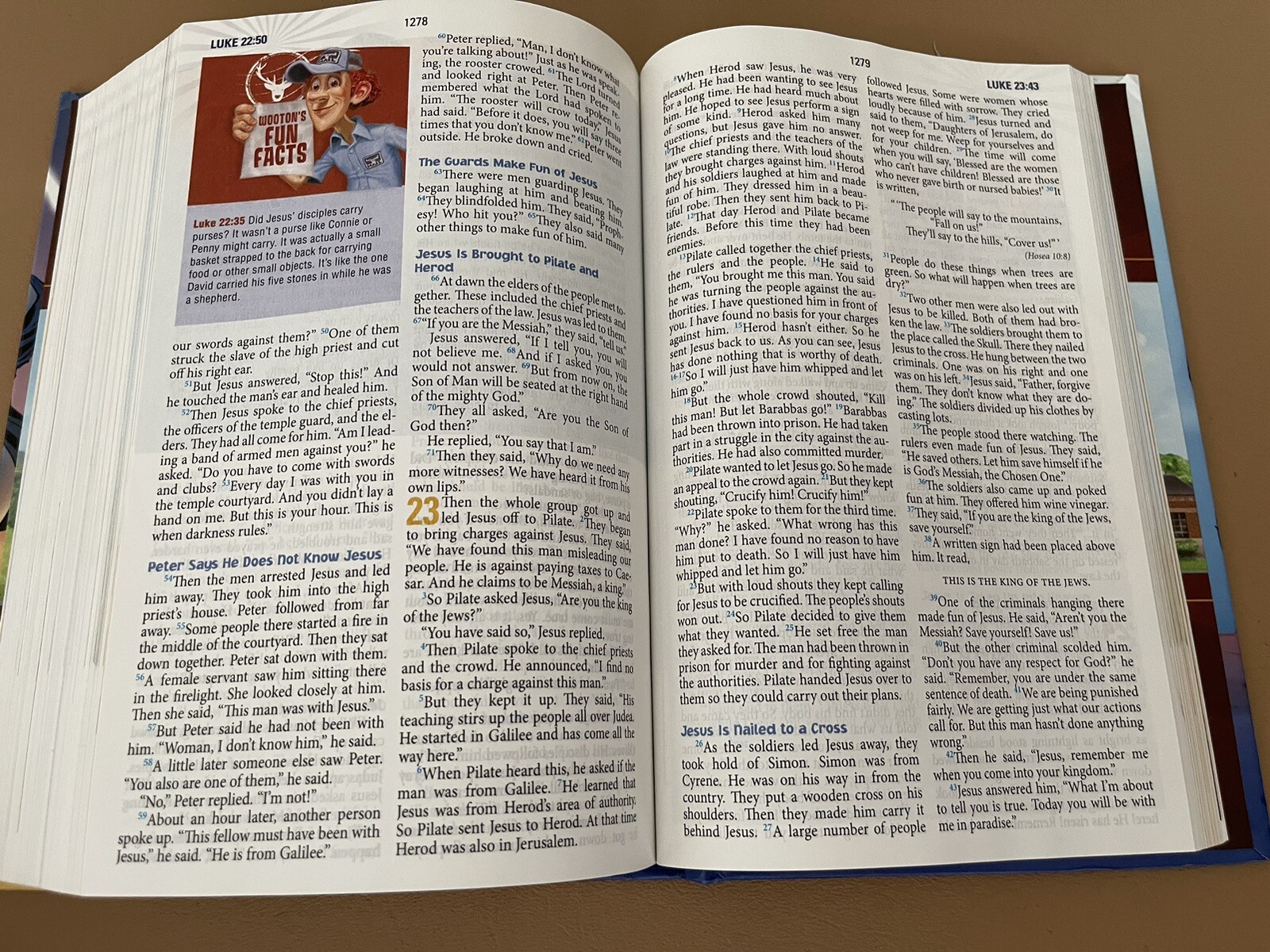 NIRV, ADVENTURES IN ODYSSEY BIBLE By Gary Locke & Sergio Cariello – Hardcover