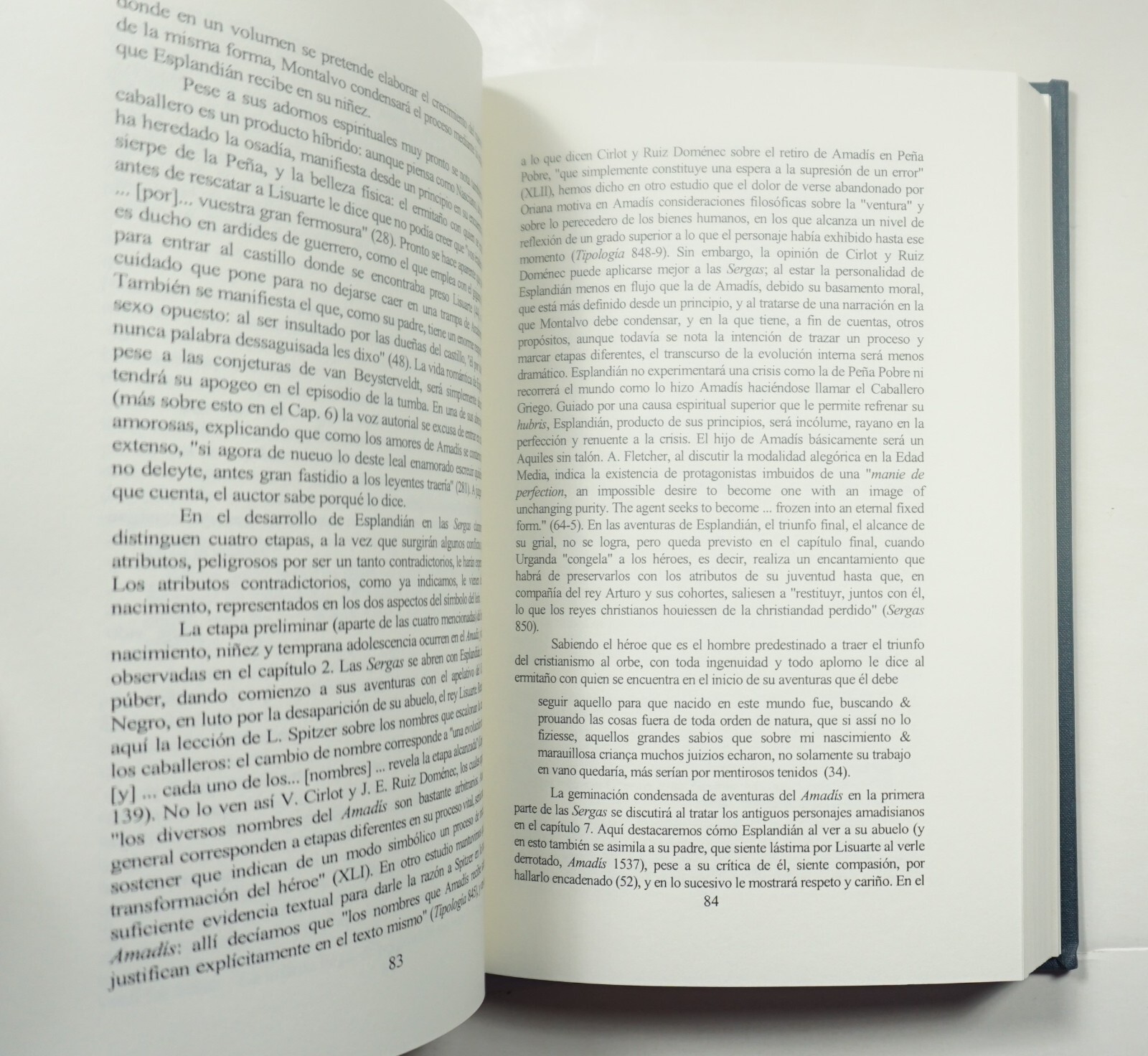 La conclusion del Amadis de Gaula 2001 Arguelles Spanish Chivalric Romance 1500s