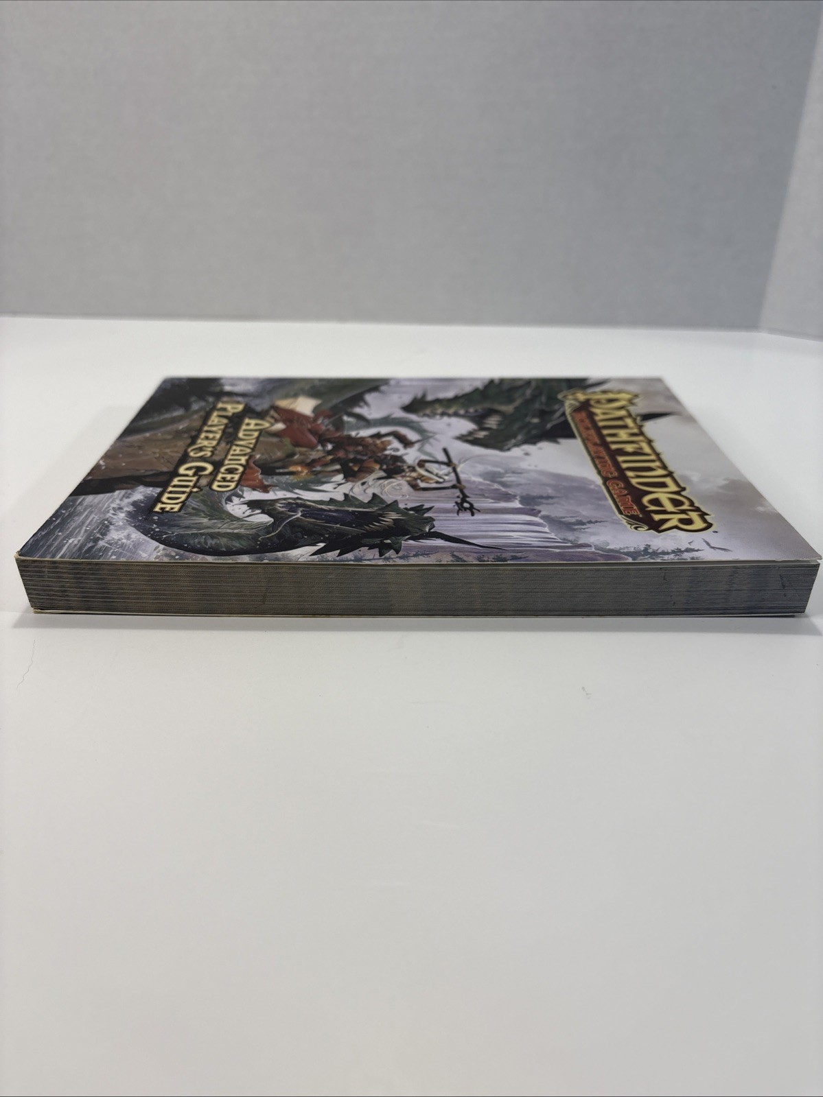 Pathfinder Roleplaying Game : Advanced Player’s Guide, Paizo Staff 2017, Bulmahn