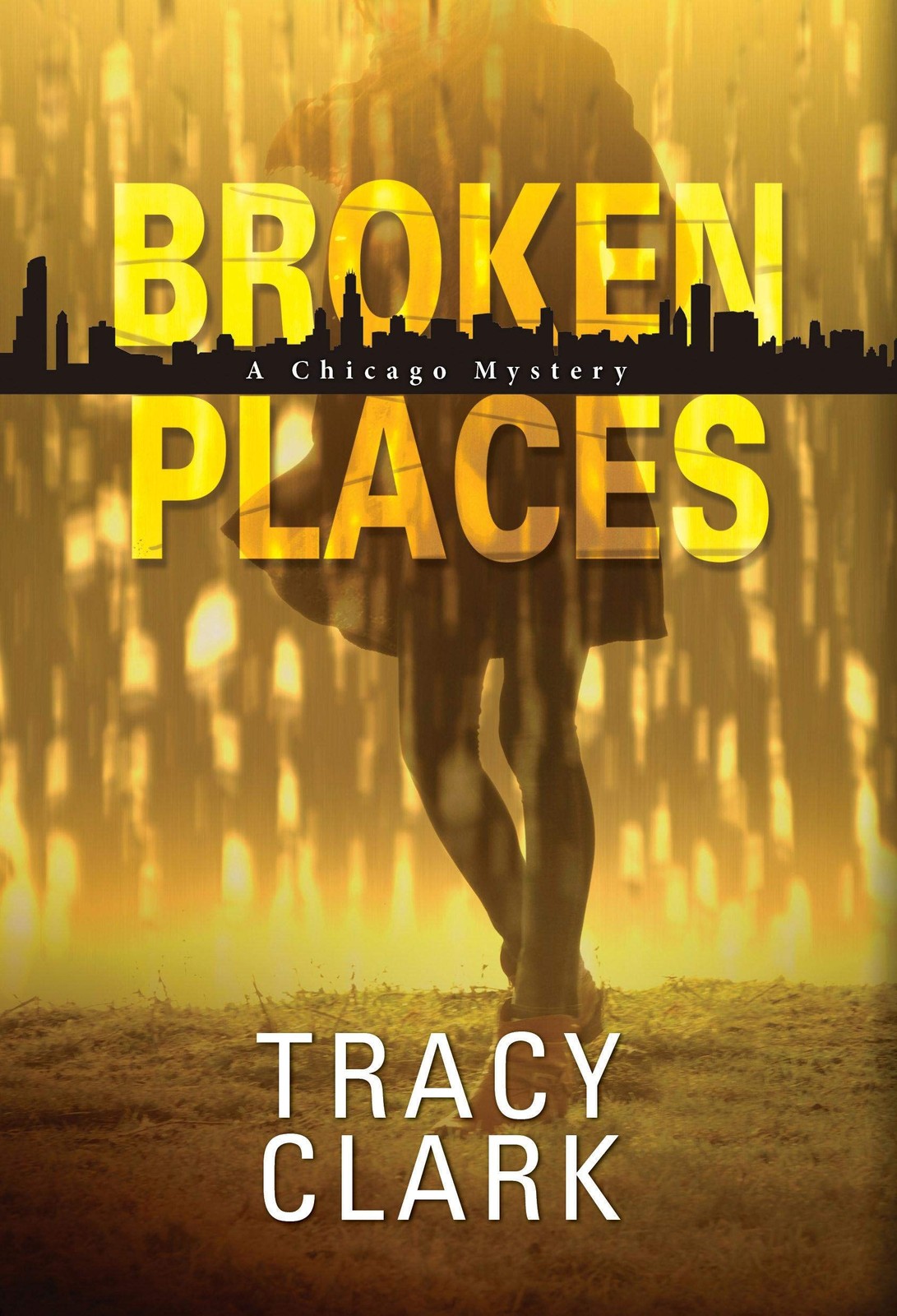 Broken Places (A Chicago Mystery)