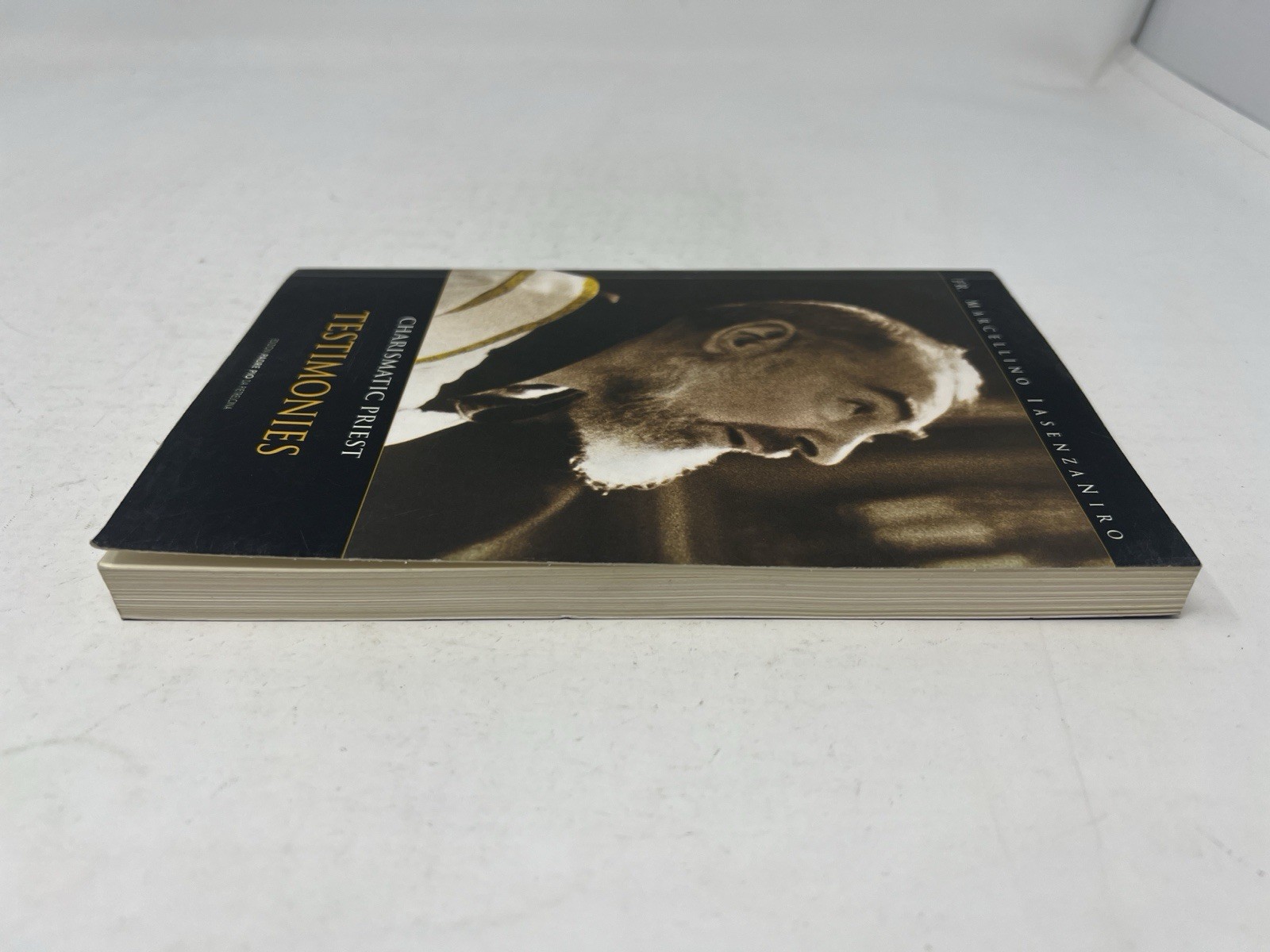 Charismatic Priest Testimonies, Part 2: The Padre Saint Pio of Pietrelcina pb