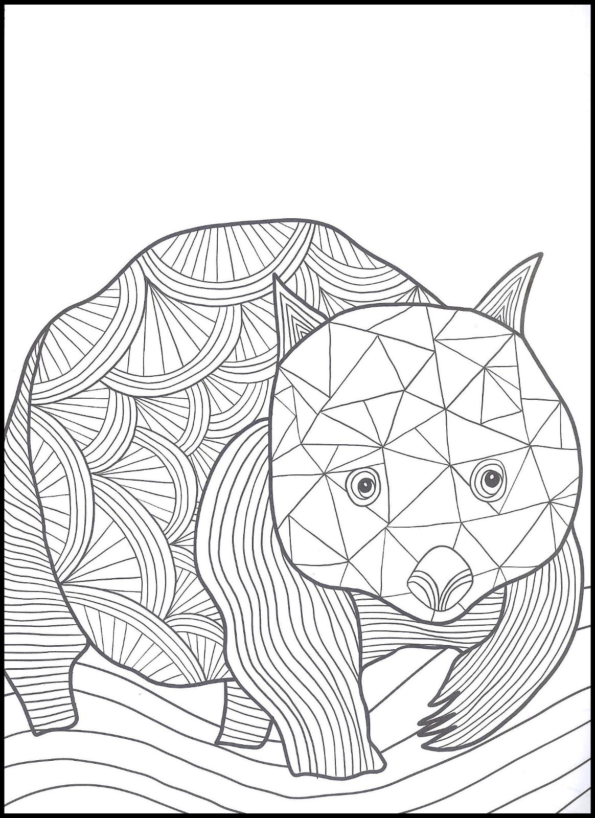 Amazing Animals – Mindful Coloring – Book