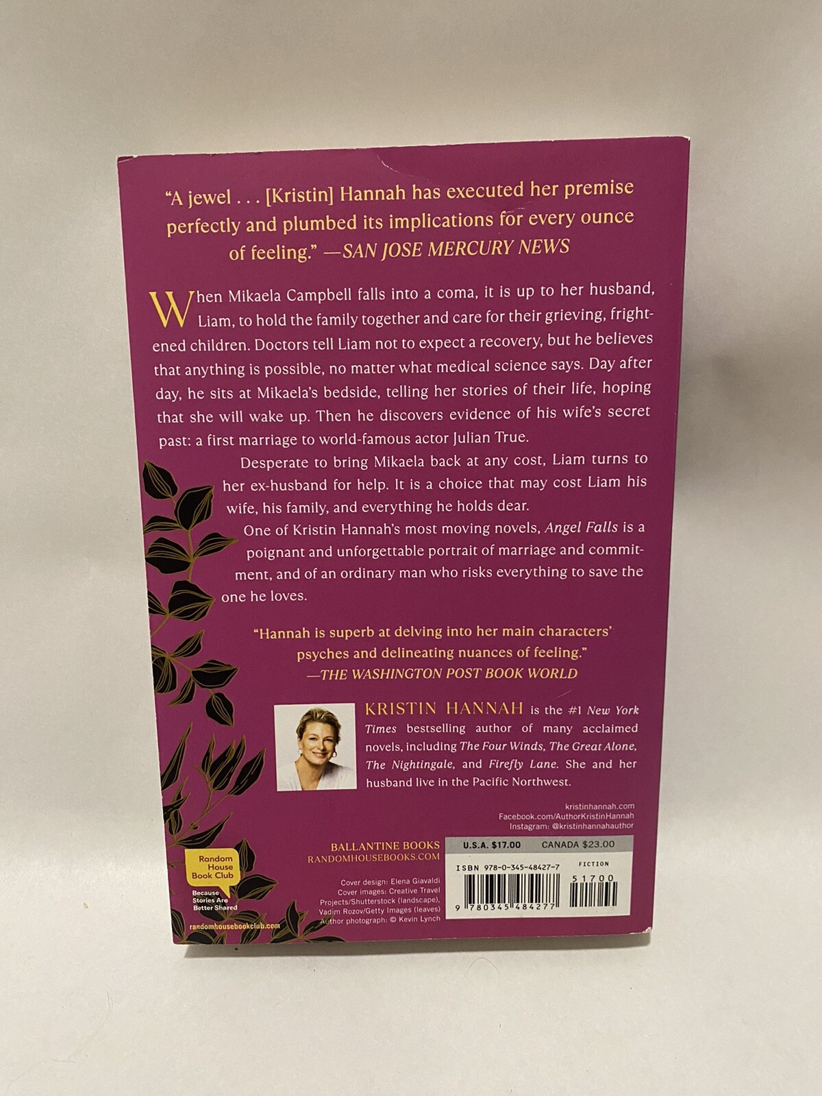 Angel Falls: A Novel by Kristin Hannah (English) Paperback Book