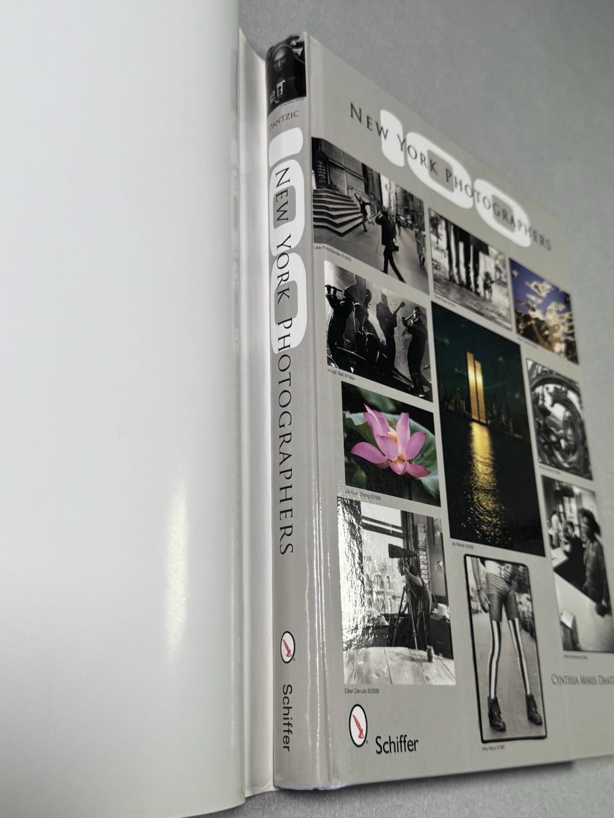 100 New York Photographers by Cynthia Maris Dantzic (2009, Hardcover)