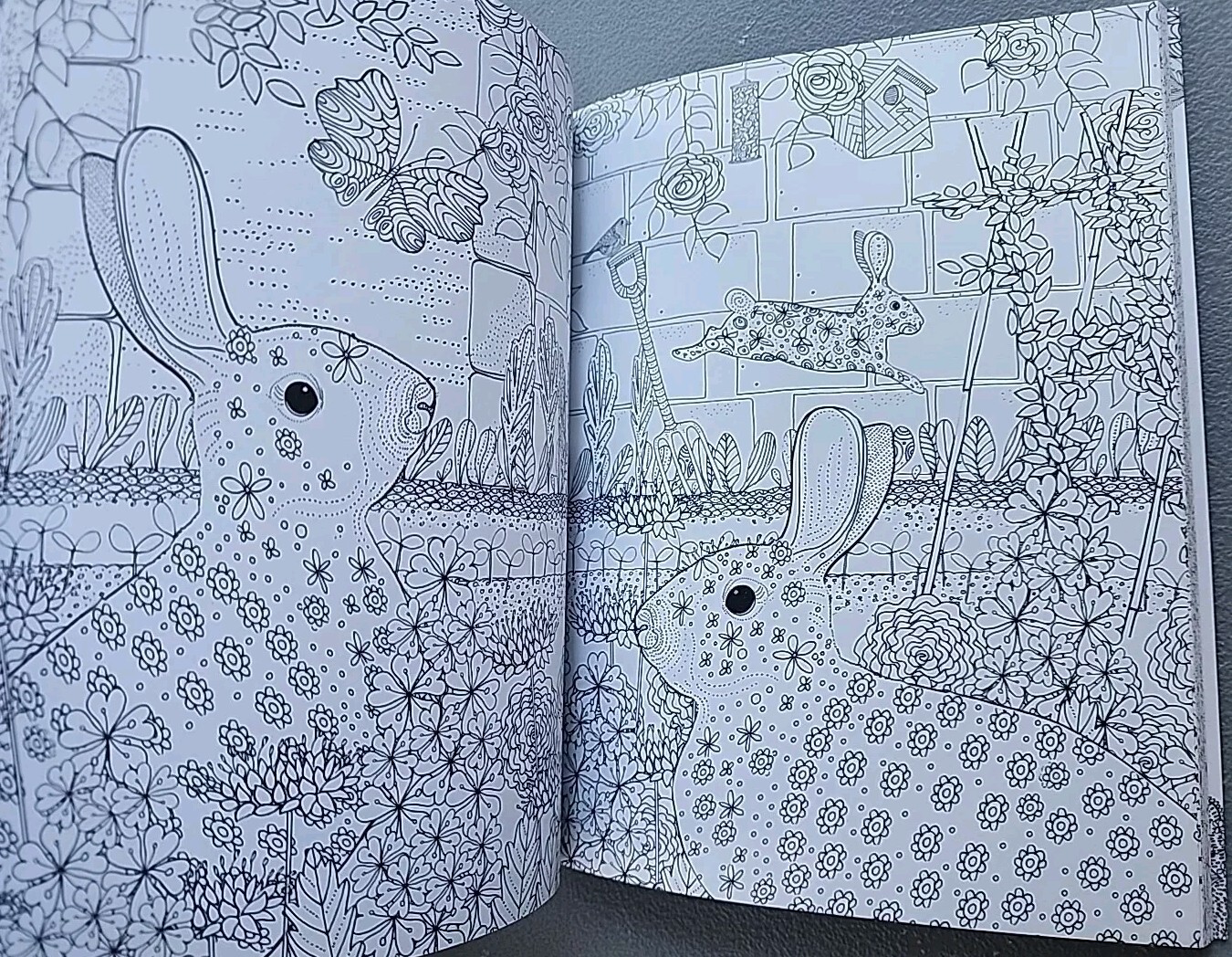 Blossoms & Butterflies Color Your World Coloring Book Jane Heyes B2 New