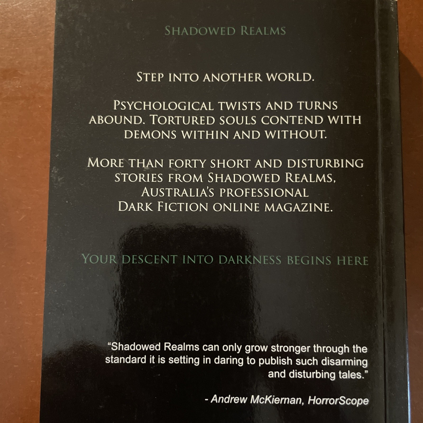 Book Of Shadows Volume 1 by Brimstone Press 1st Edition Small Press Run Rare
