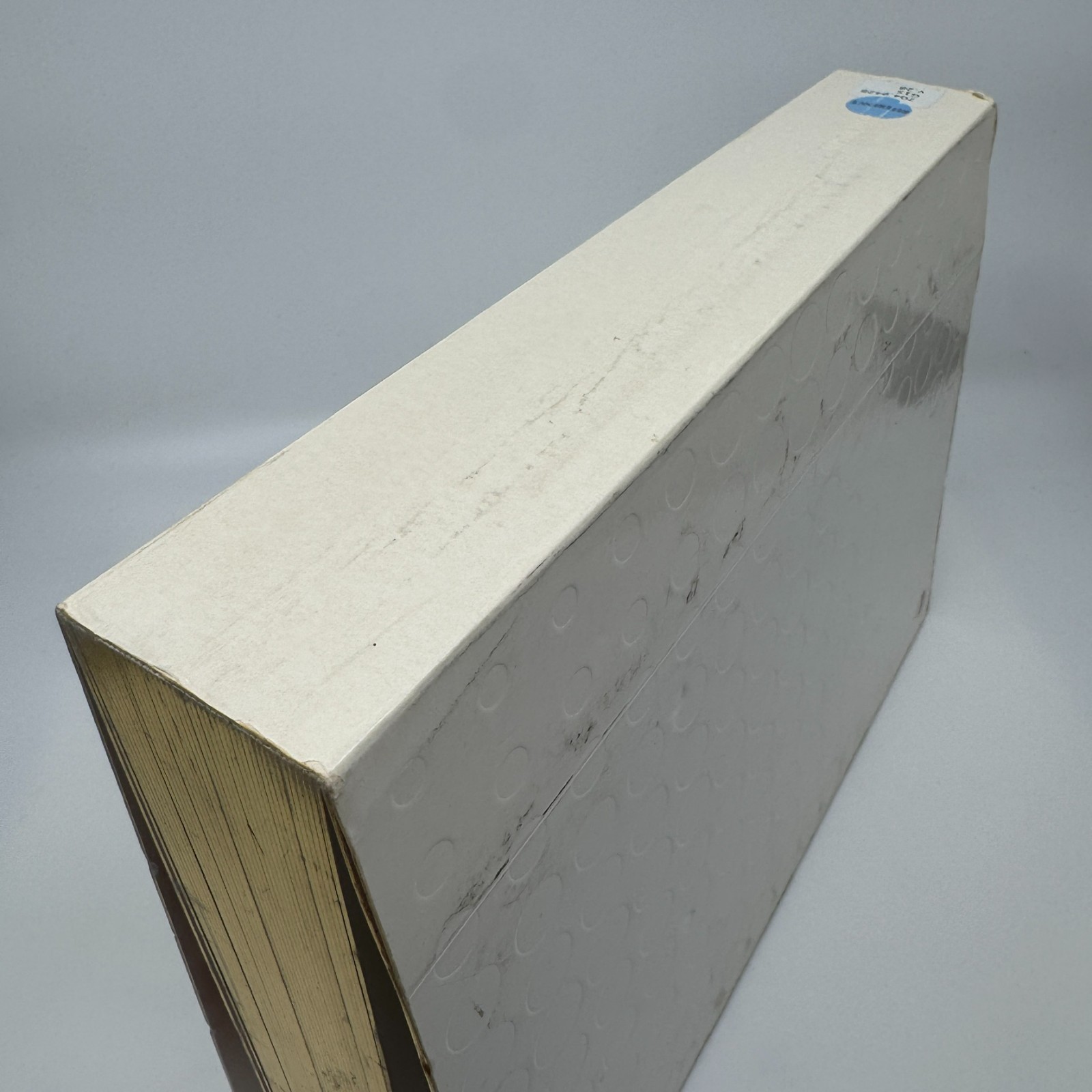 VISIONAIRE 28: BIBLE Edition by Philippe Starck: #2256 Of 6000 – Rare Limited