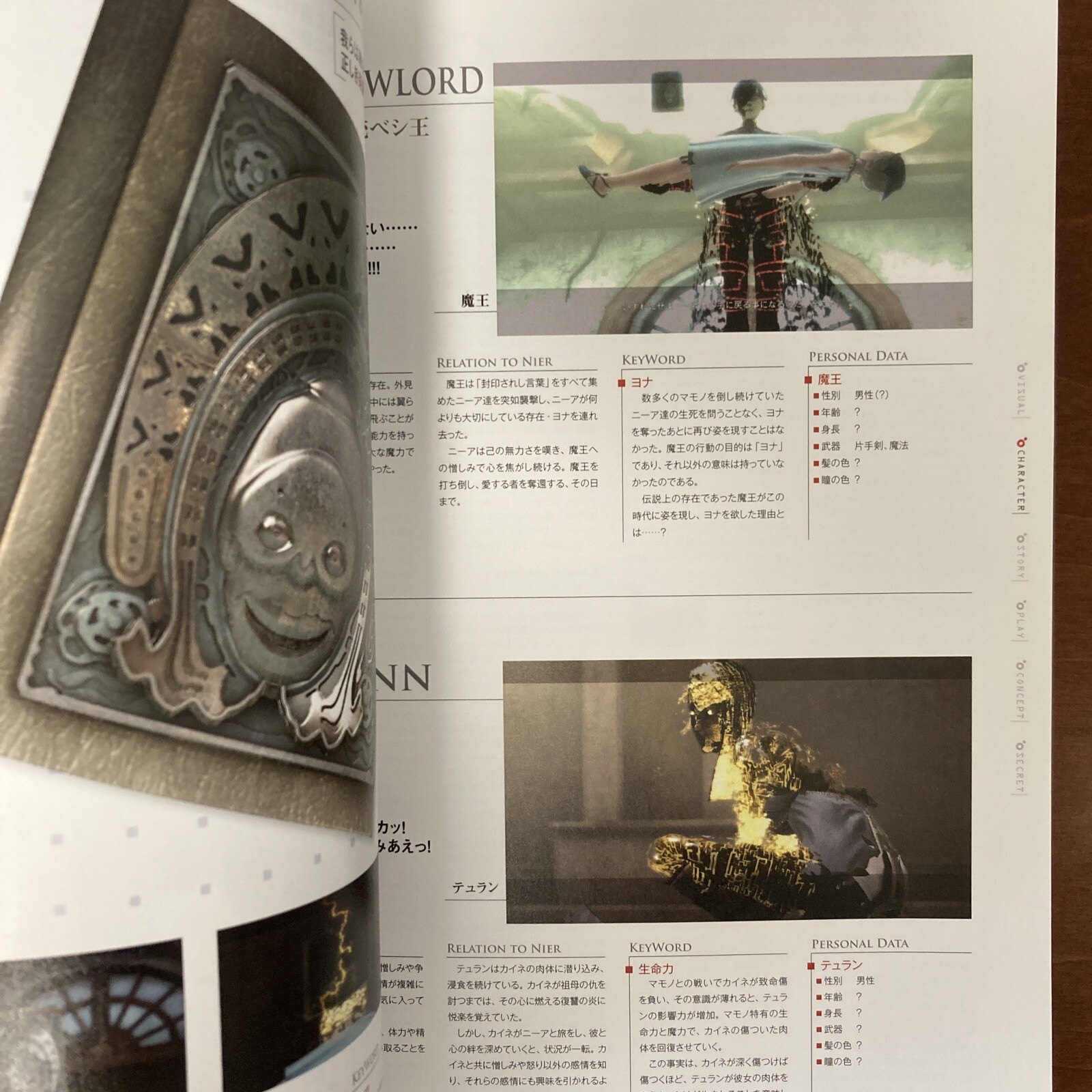 Grimoire NieR Guide Book Art Book Illustration