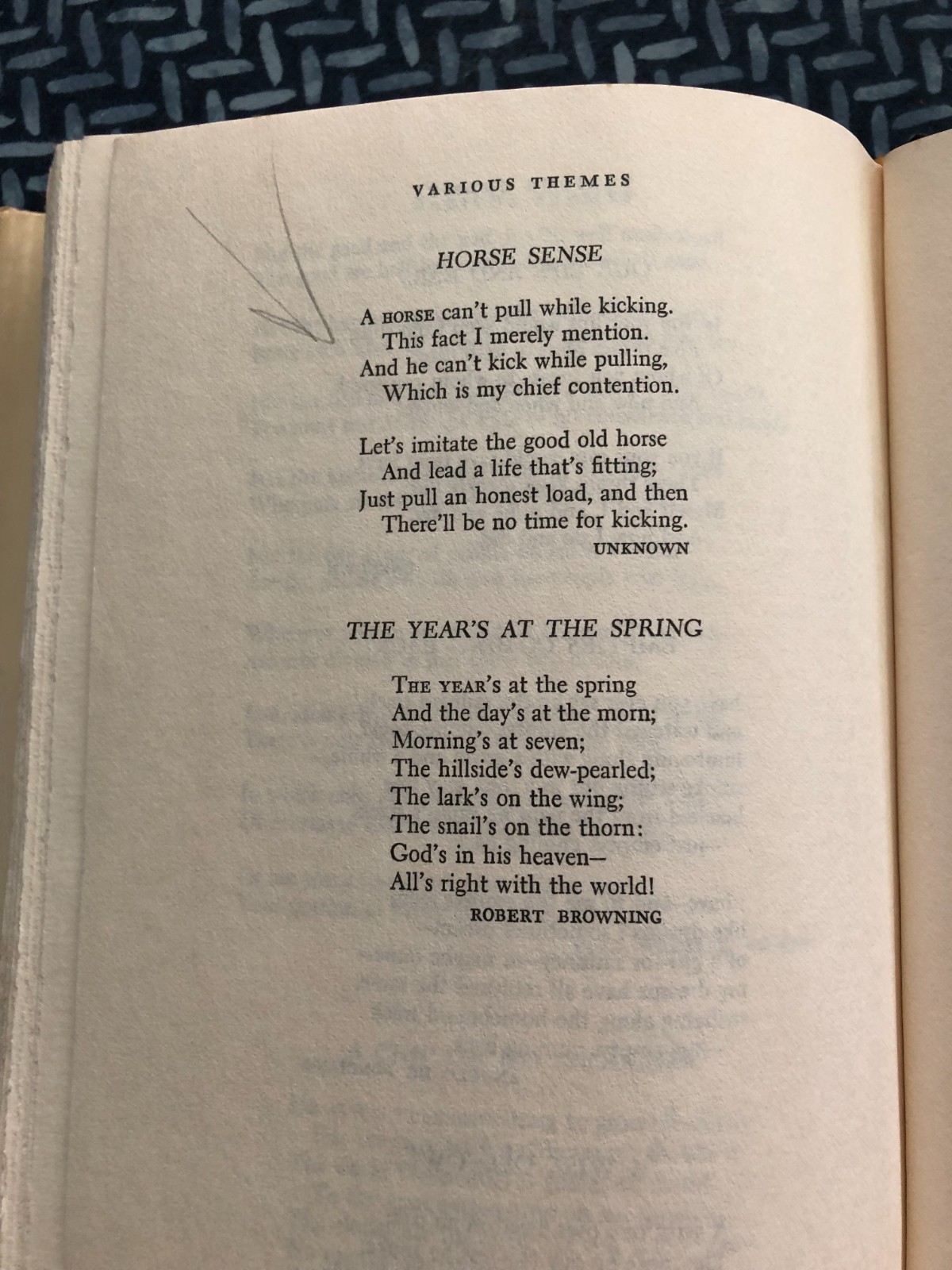 The Best Loved Poems of the American People 1936 Hardcover by Hazel Felleman