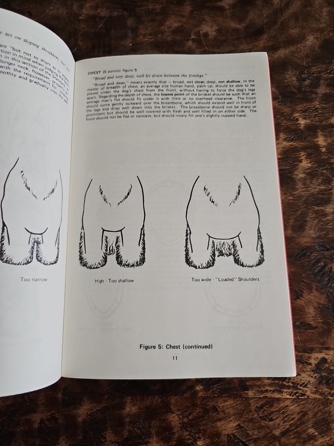 1985 STCA Scottish Terrier Standard Illustrated Lori Bush Judge Packet