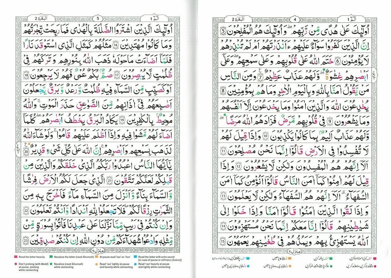 Tajweed Quran persian, Urdu & Southafrican Script with 15 Lines ( Ref 213)