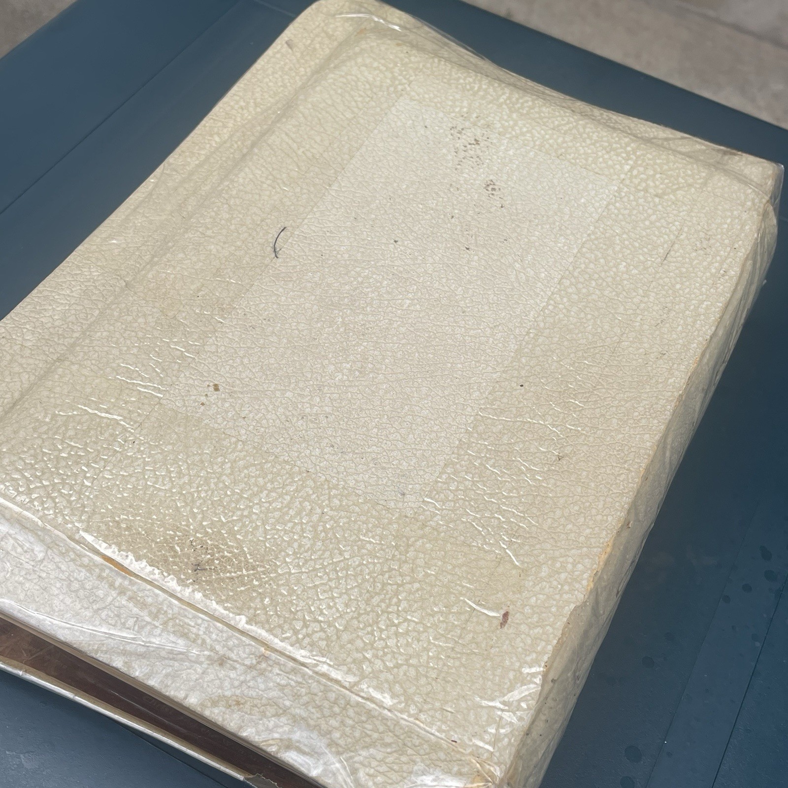 Vintage Holy Bible The Holy Angels Edition The Catholic Press 1963 White Large