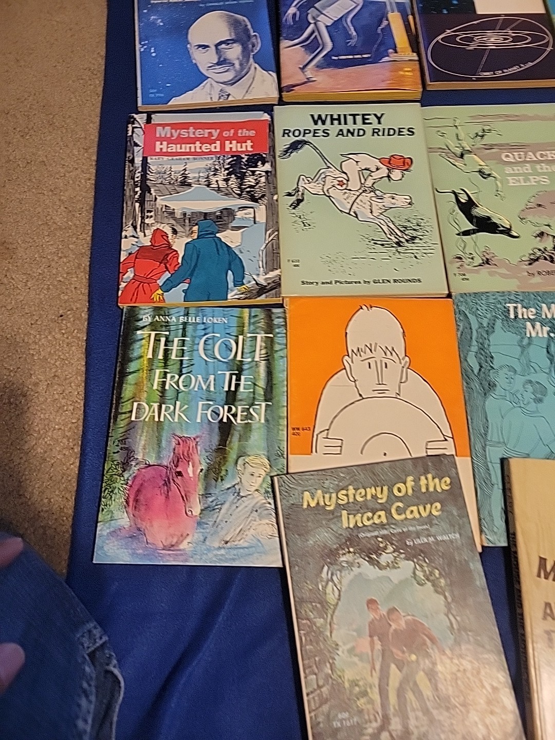 Vintage Young Readers Press ,scholastic And Others Pb Books