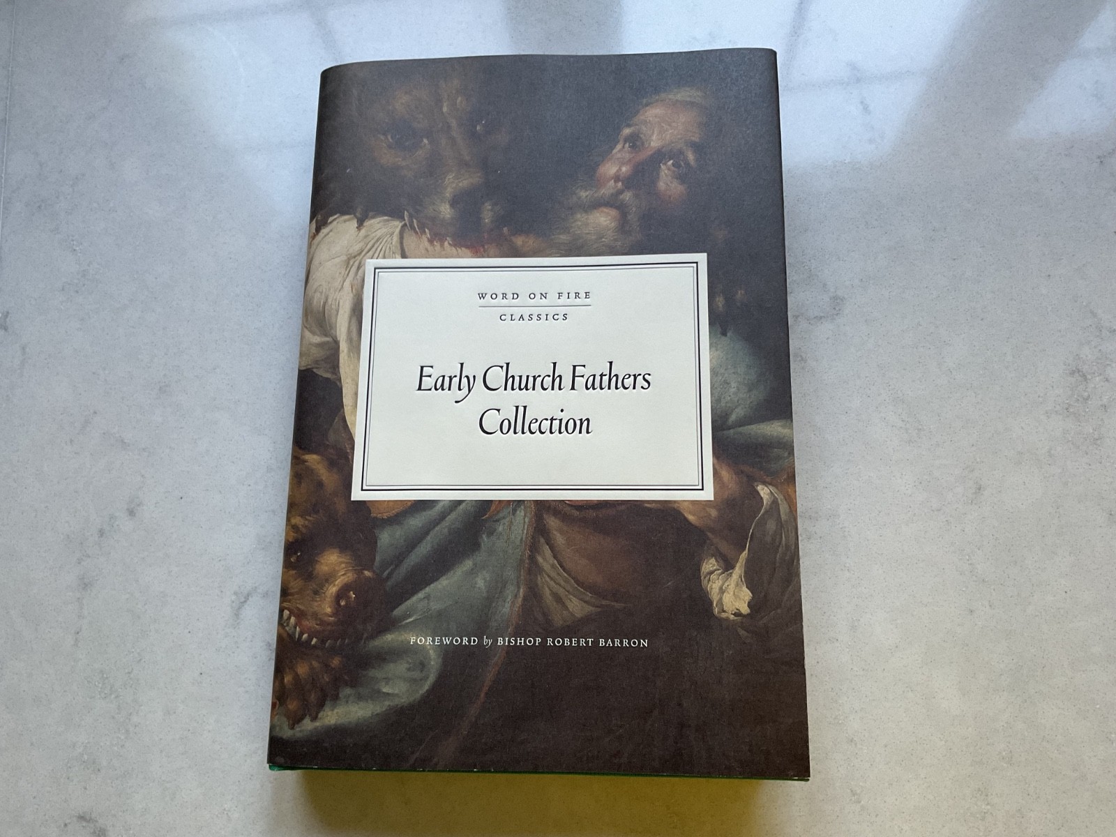 Early Church Fathers Collection Word on Fire Classics HC Book Like New