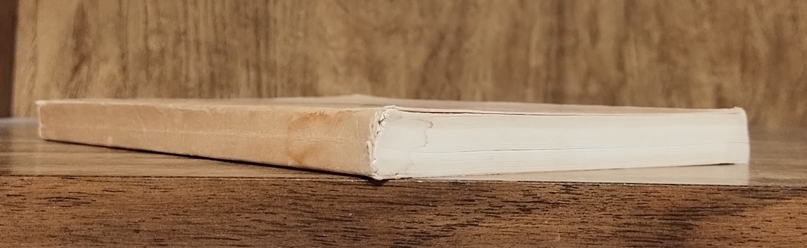 The New Testament – Self-Pronouncing King James Version, Bearing Precious Seed M