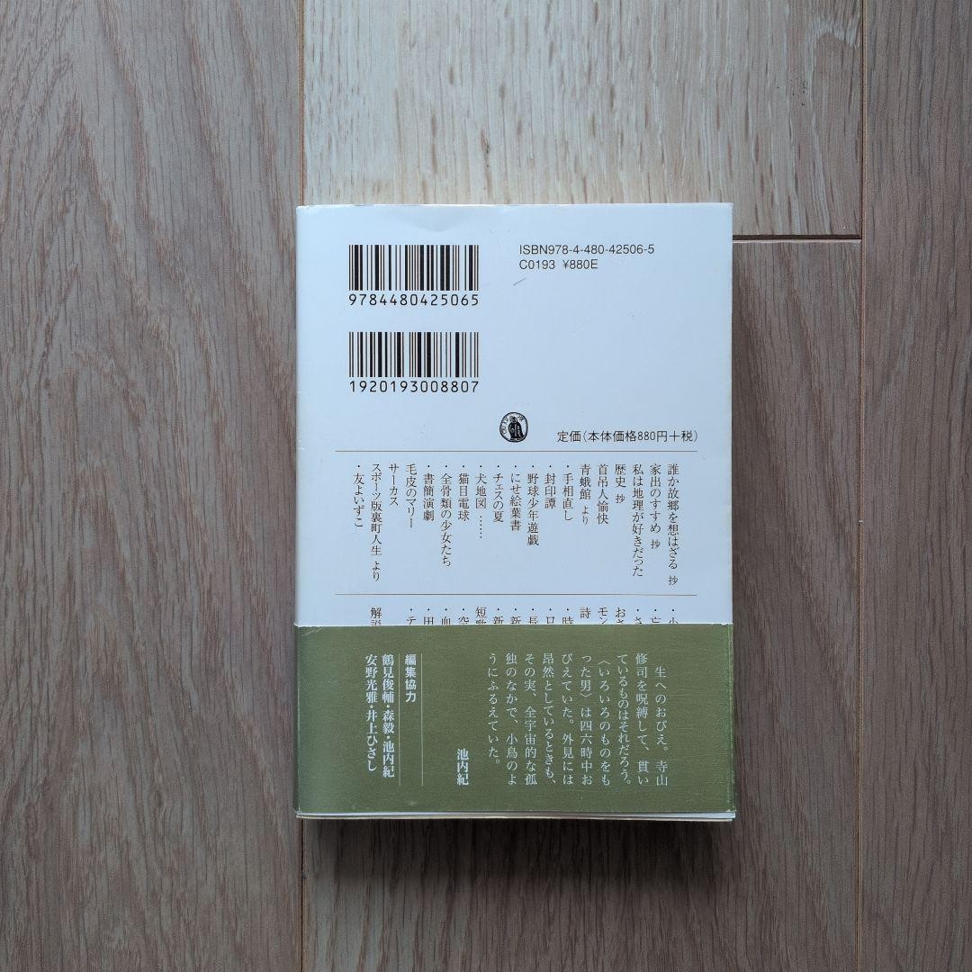 Shuji Terayama Japanese Literature Book Terayama Shuji 880 Yen Minor Wear