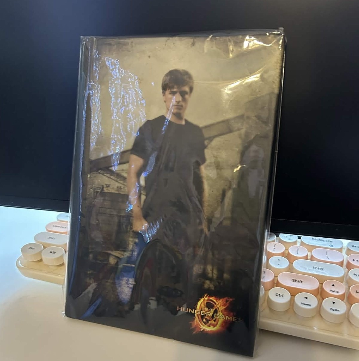 (NECA) The Hunger Games – Peeta In District 12 Journal [NEW]