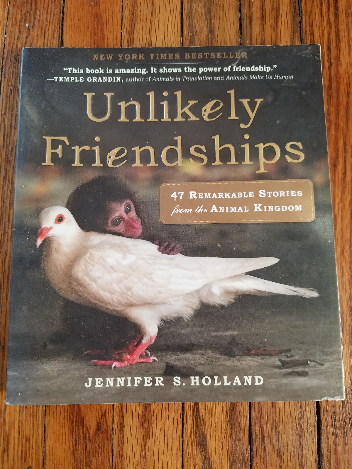 Unlikely Friendships by Jennifer S. Holland Paperback
