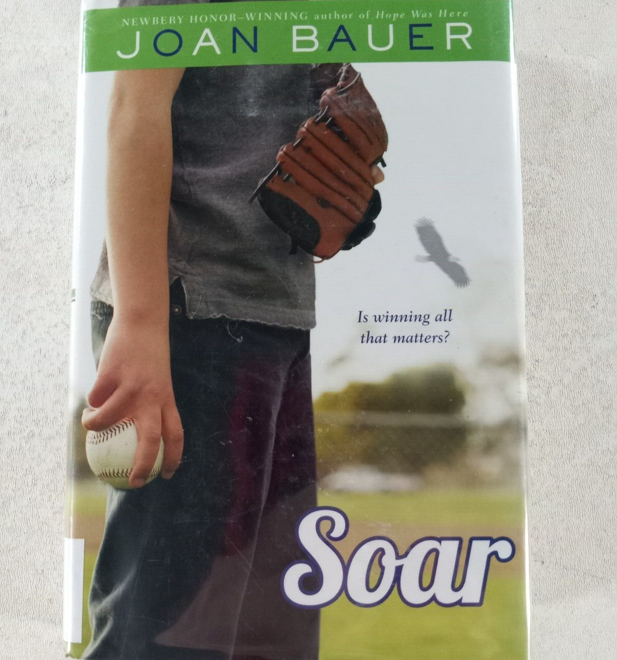 Soar Book by Joan Bauer