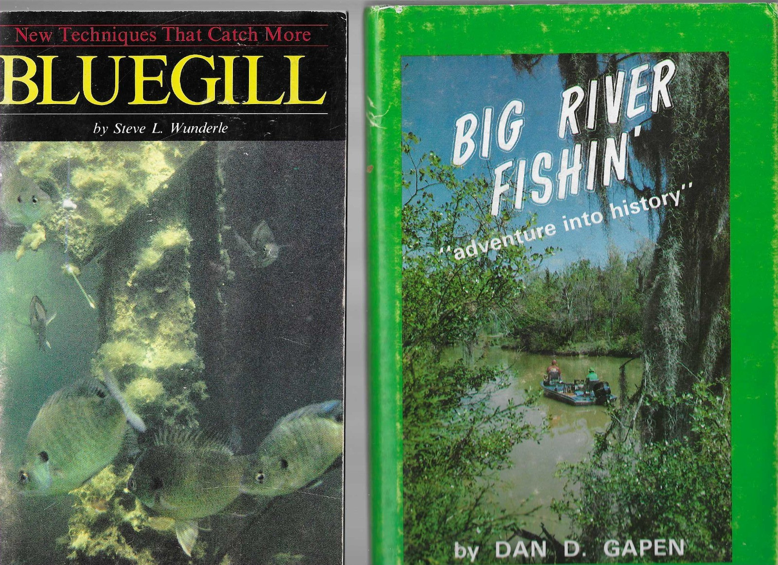 Big River Fishin’ & Bluegill by Dan D. Gapen