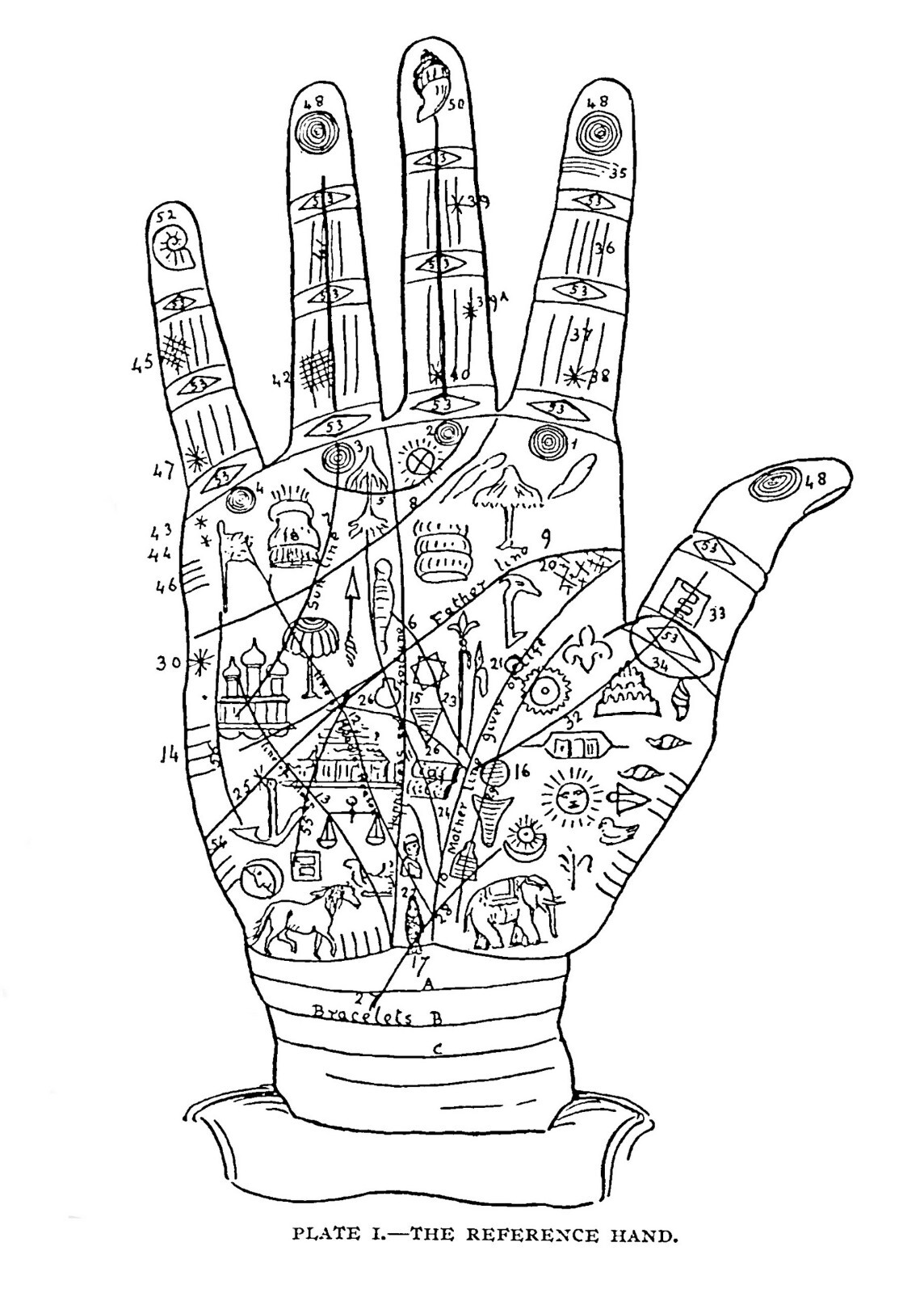 1895 Indian palmistry 61 Pages