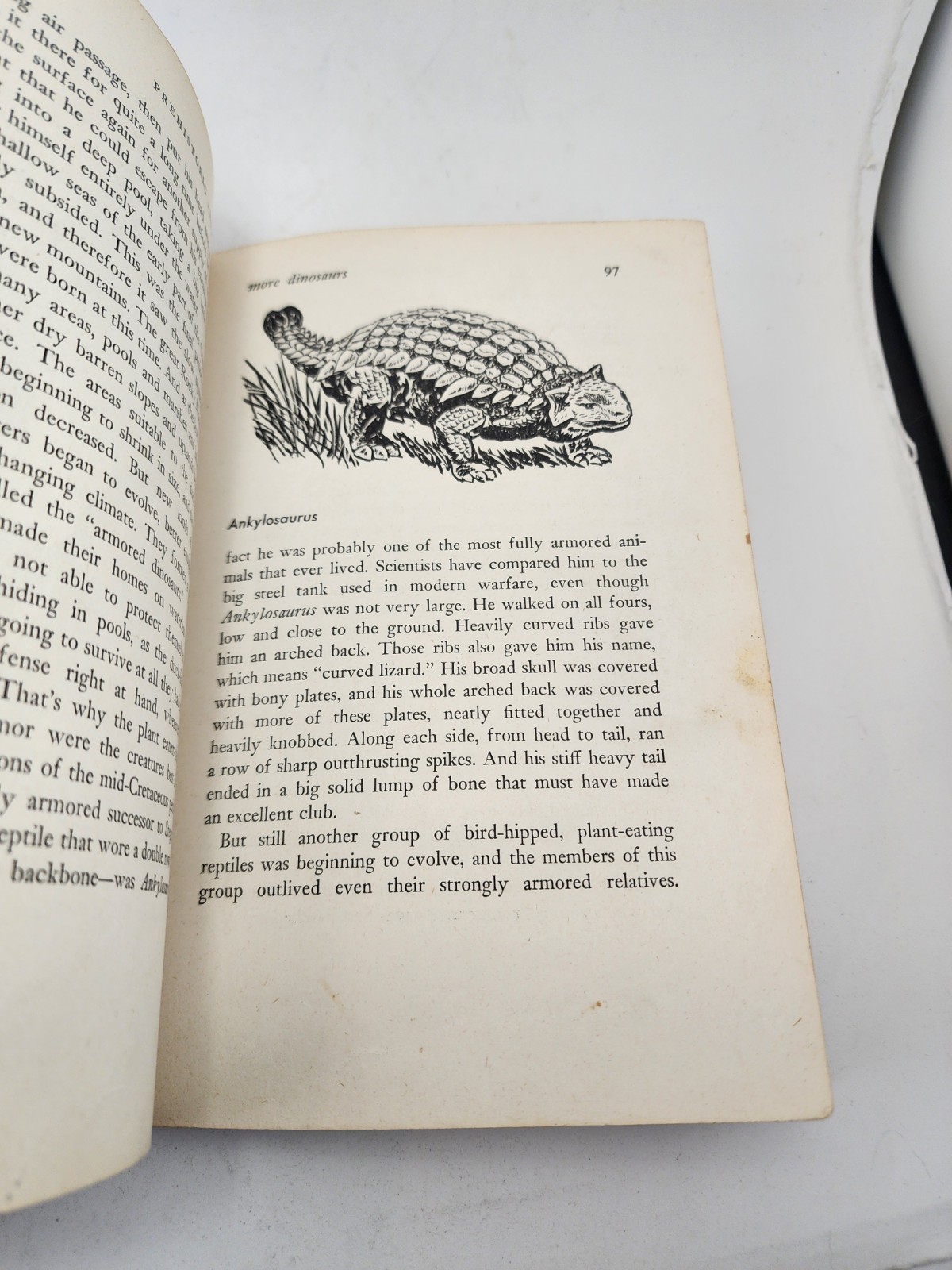 Vtg Prehistoric Animals Sam and Beryl Epstein 1956 1st Print Mylar HCDJ
